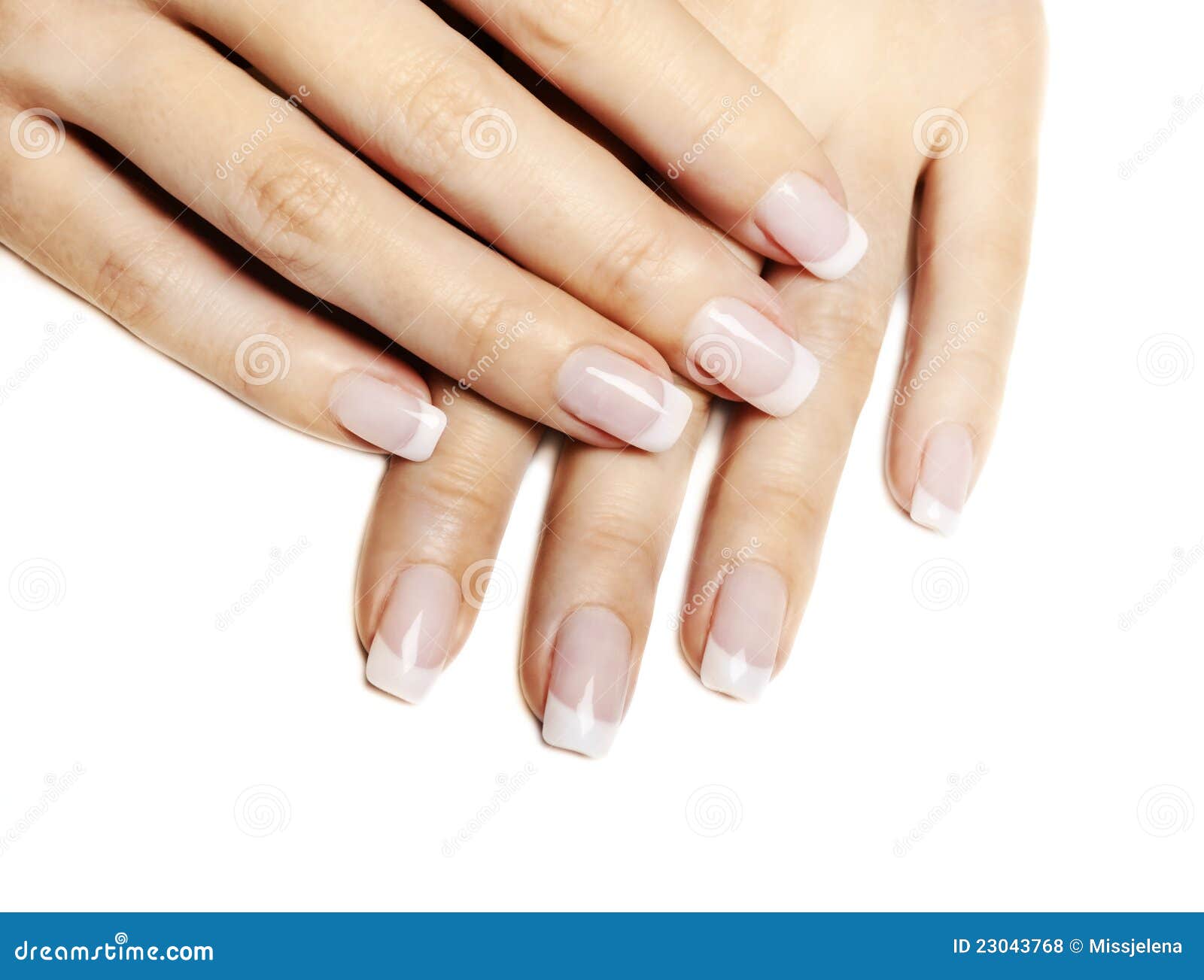 Manos femeninas hermosas con la manicura francesa aislada sobre blanco