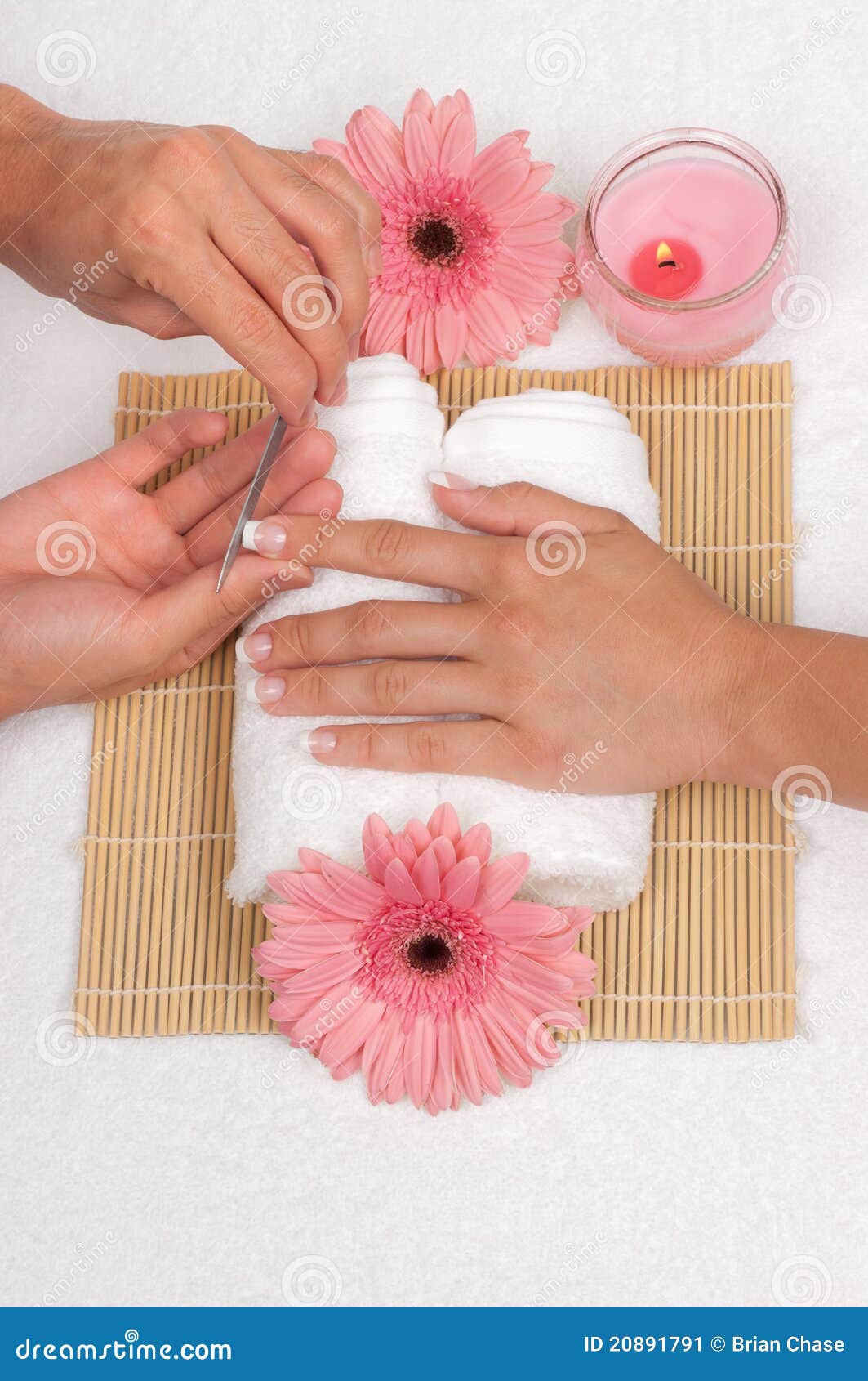 Manicure stock image. Image of woman, manicurist, female - 20891791