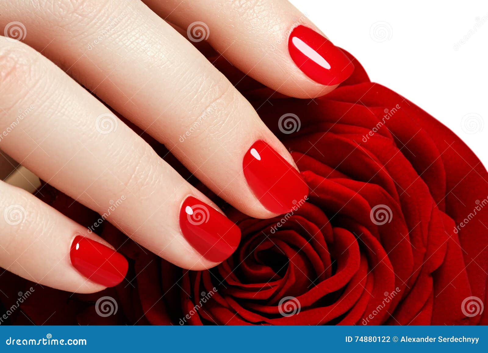 Manicure Beautiful Manicured Woman S Hands With Red Nail