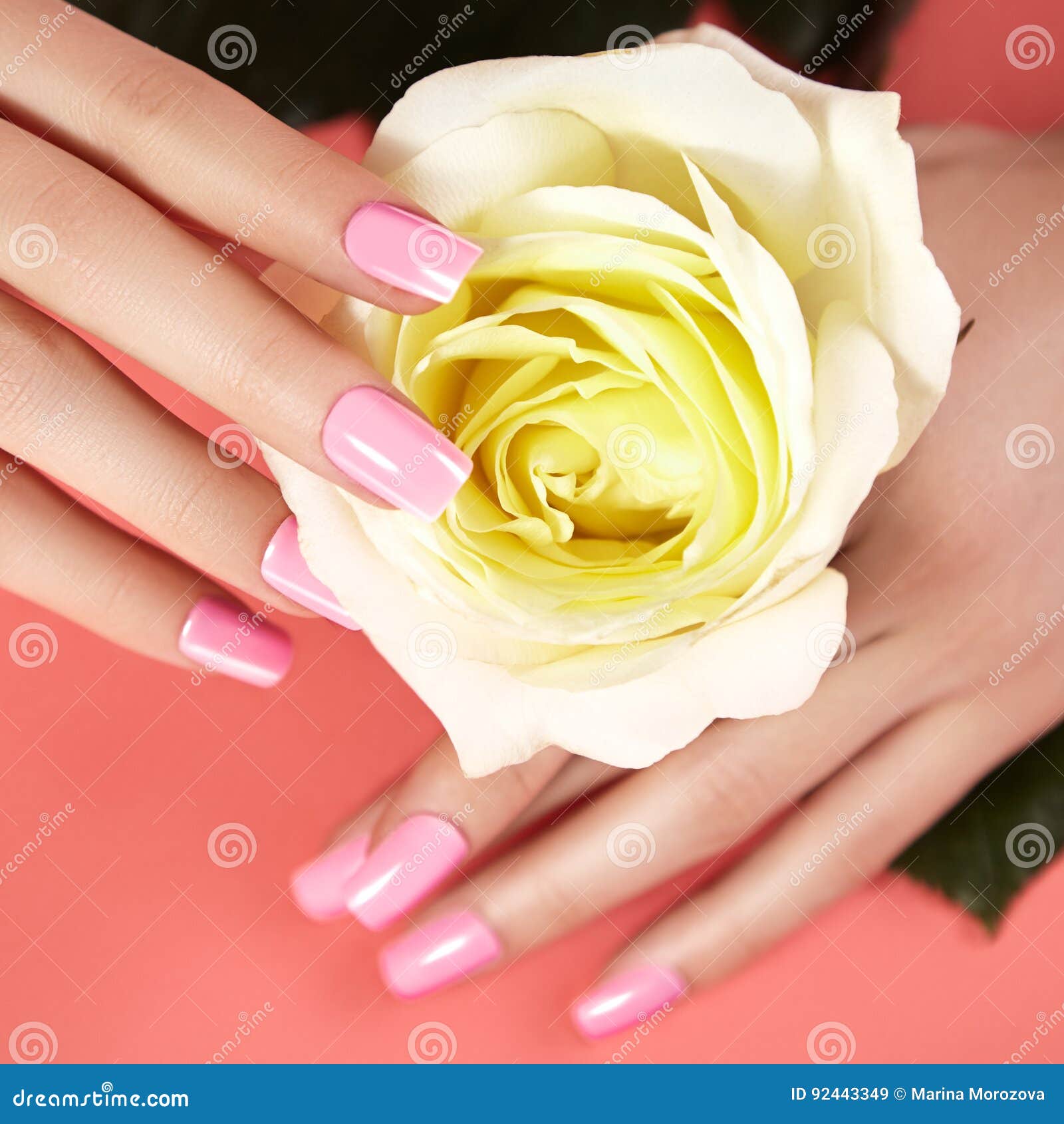 manicured nails with pink nail polish. manicure with nailpolish. fashion art manicure, shiny gel lacquer. nails salon