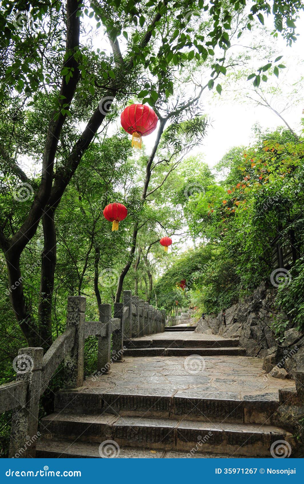 Manier Chinese Lamp Op Boom Stock Afbeelding Image of helder, zwart