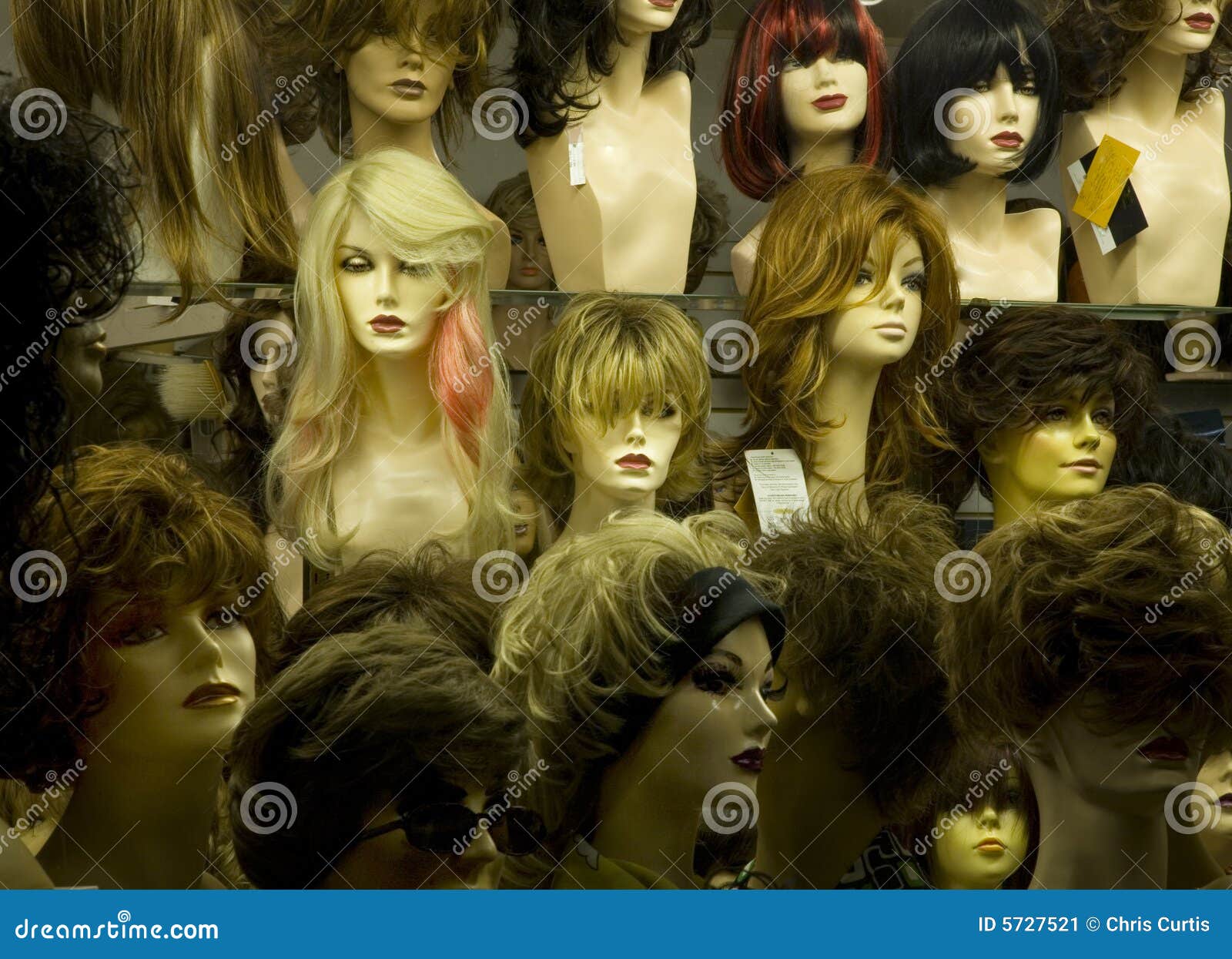 Manikin heads stock image. Image of manikin, glamor, exhibition 5727521