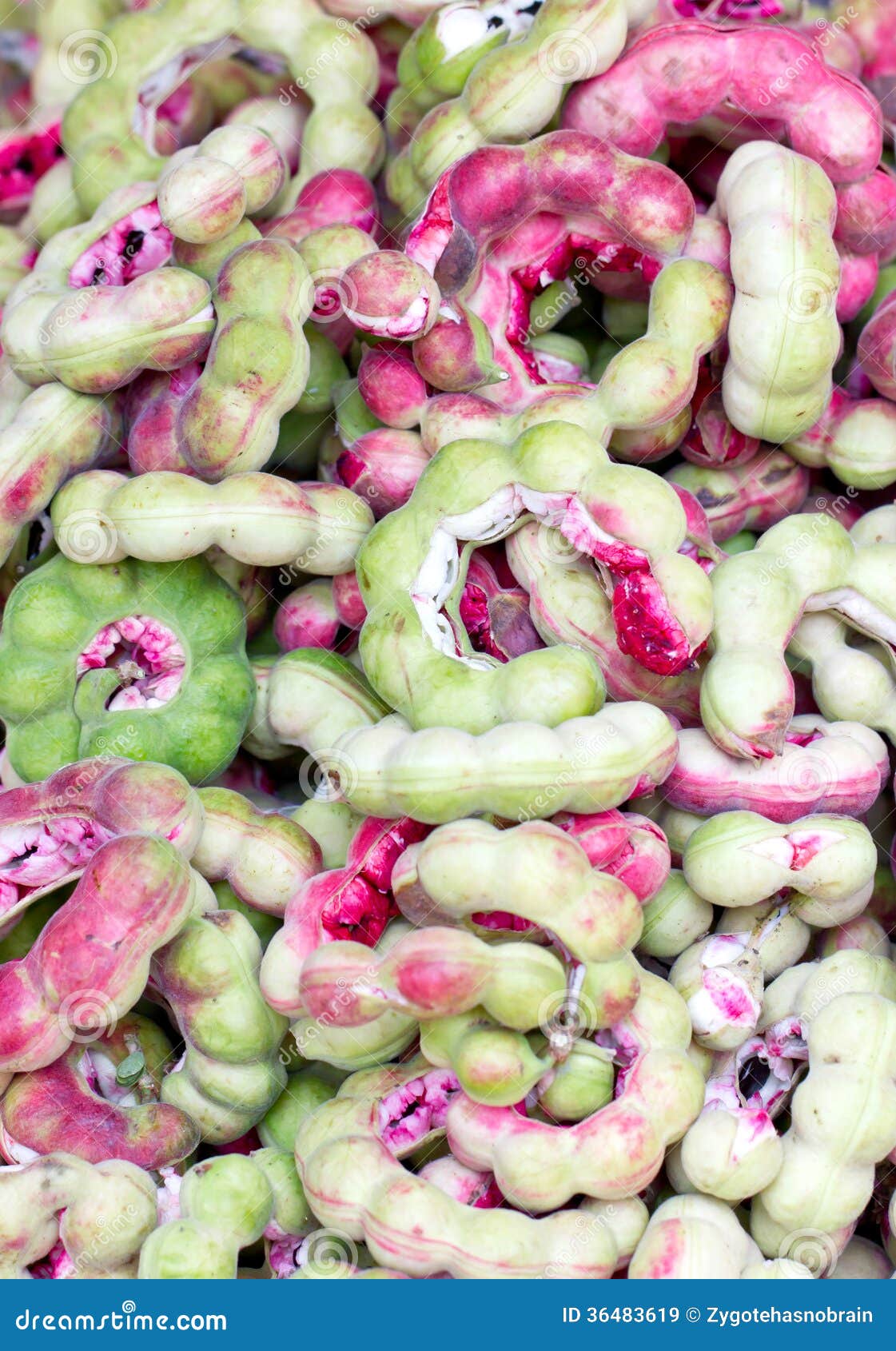 Manila Tamarind Fruit. stock image. Image of edible, exotic 36483619