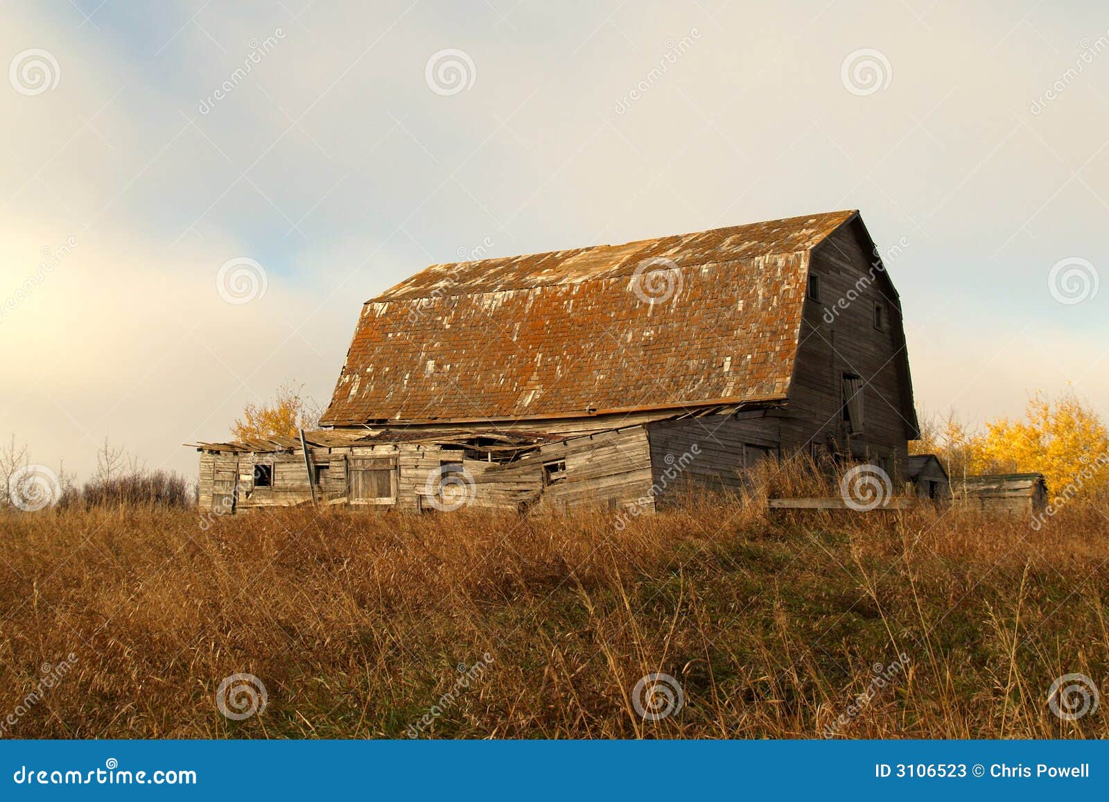 a manitoba barn