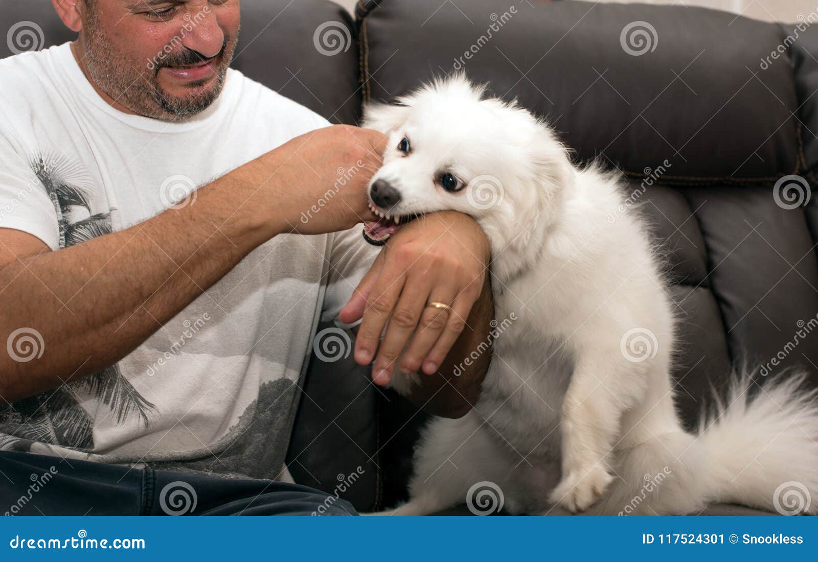 Mann, Der Durch Hund Gebissen Wird Stockbild Bild von zugelassen