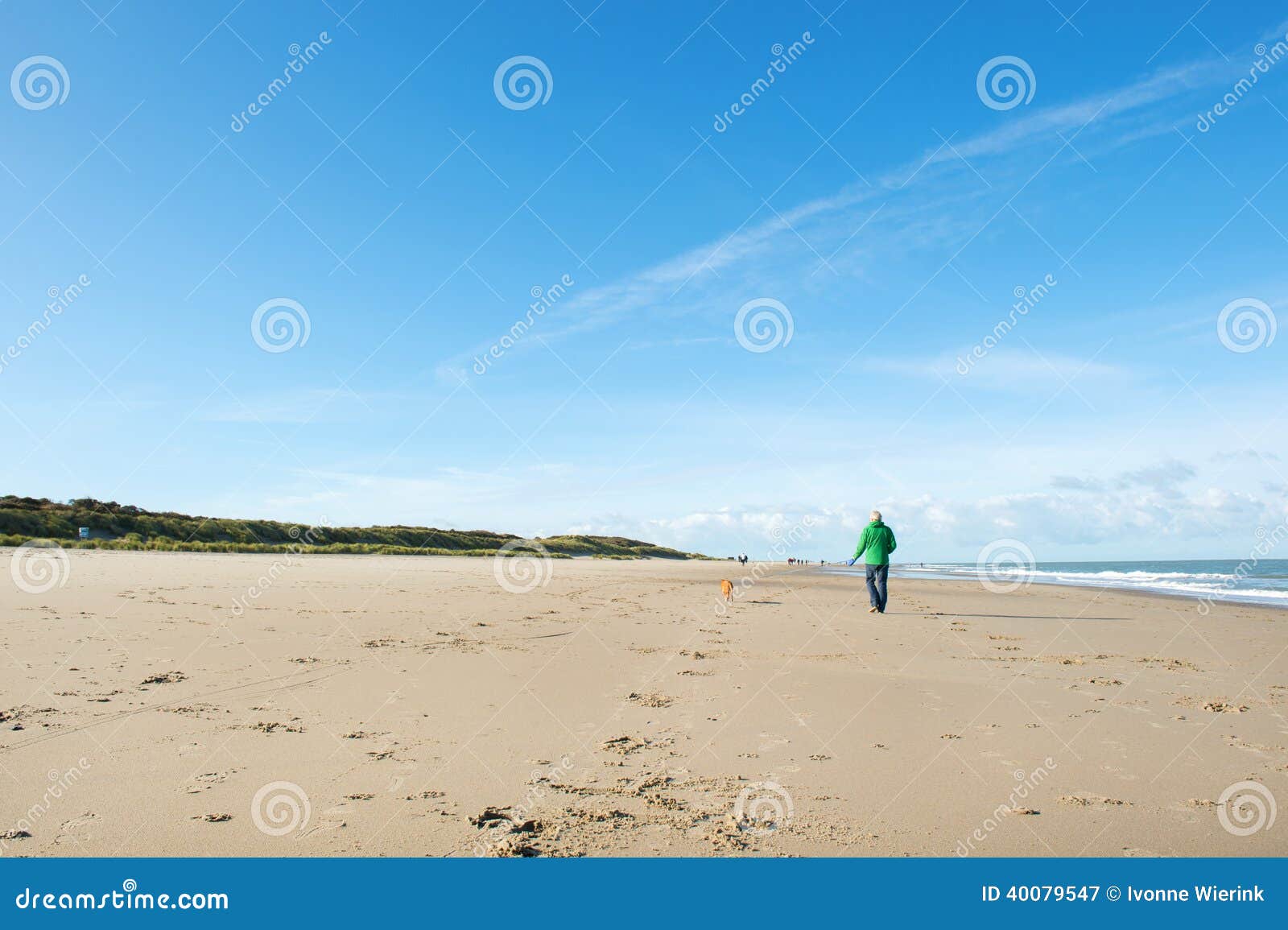 Mann, der mit Hund am Strand geht. Bemannen Sie das Gehen mit Hund am Strand auf Niederländisch Renesse