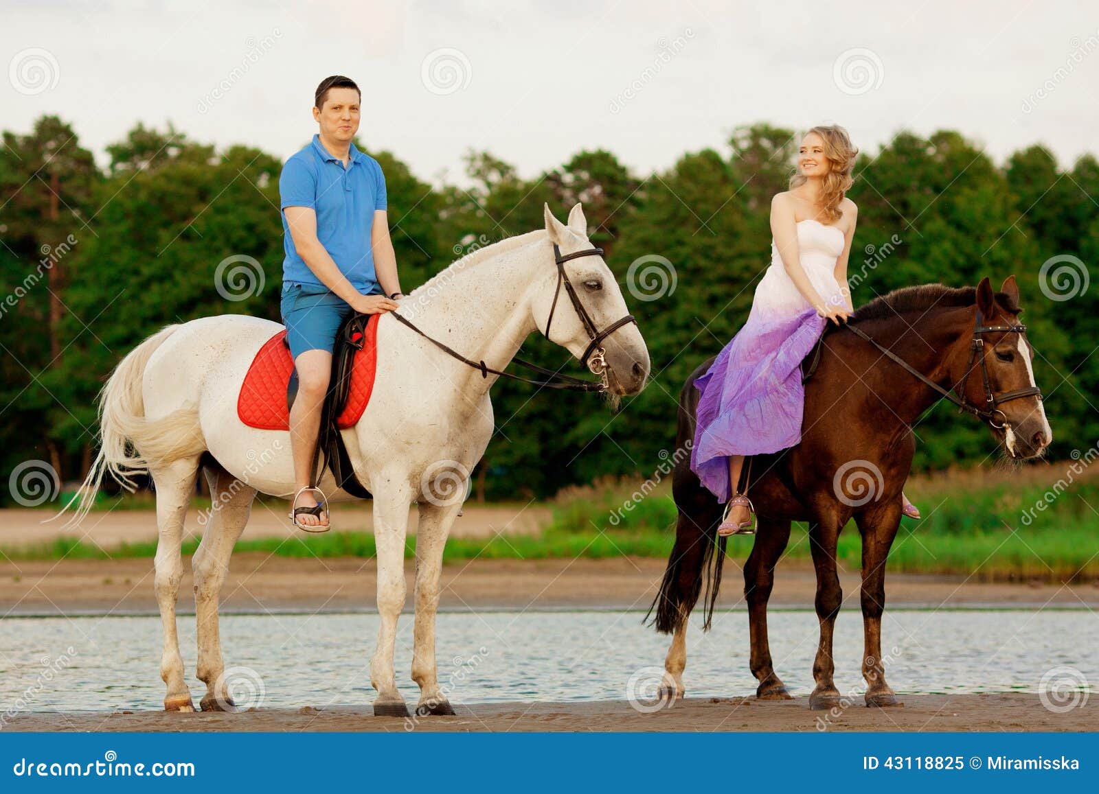 Mann Und Frau Mit Pferde In Dem Meer Romantische Liebe Stockbild Bild Von Pferde Mann