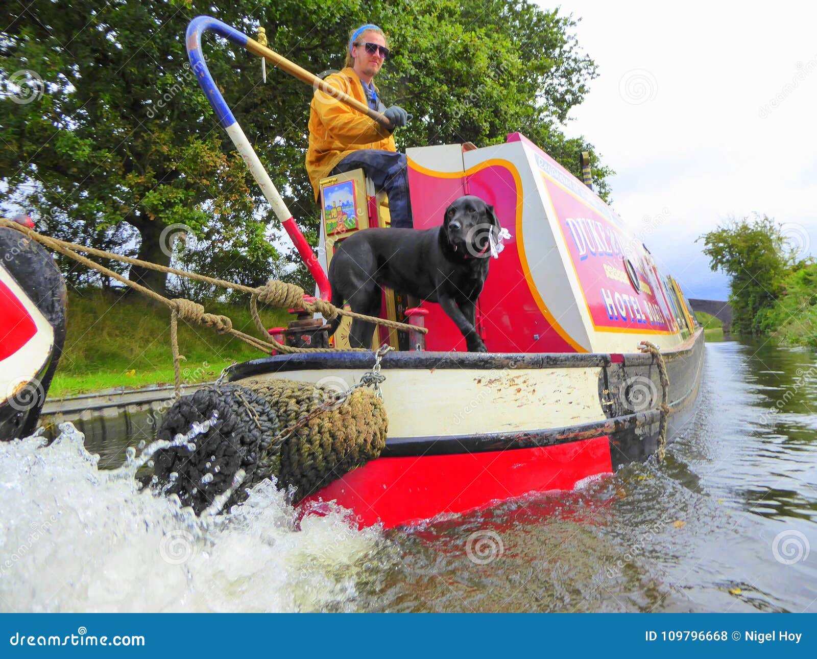 Mann und Hund, die auf Kanalboot kreuzen. Ein Mann und sein Hund auf der Rückseite eines narrowboat auf dem Staffordshire- und Worcestershire-Kanal in England