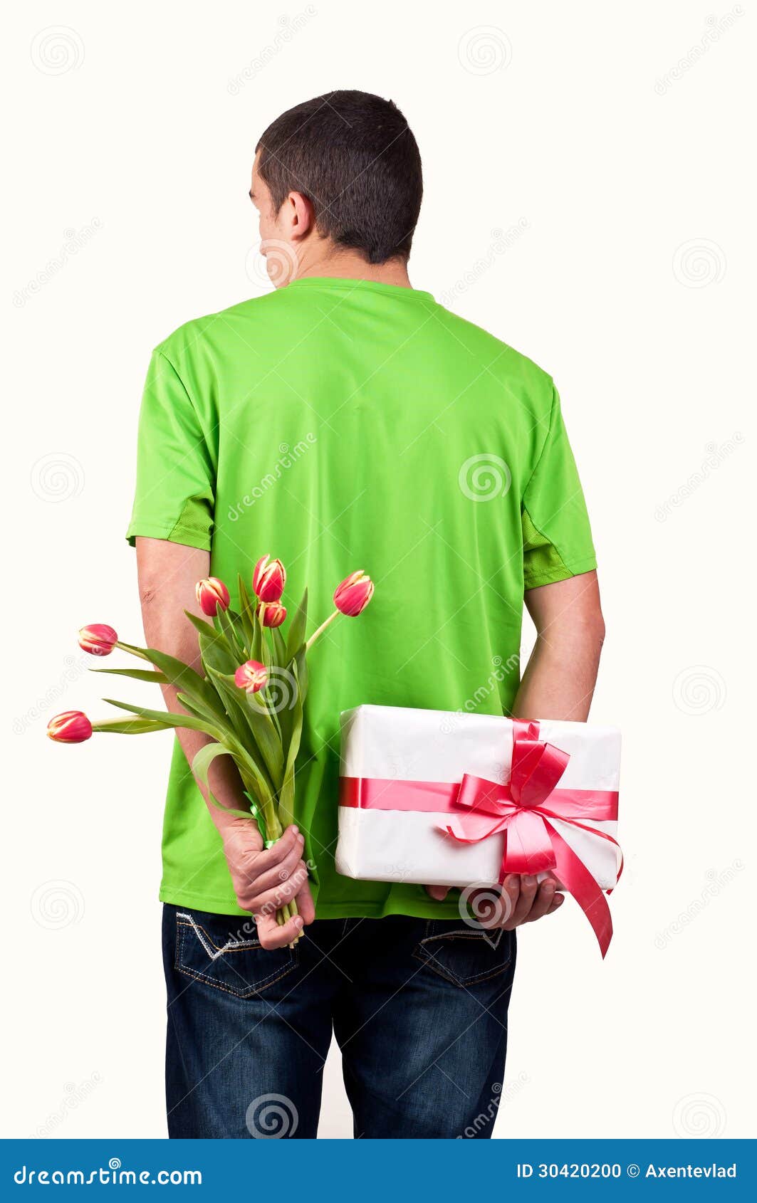 Mannederlagtulpan blommar och gåvaasken bak hans baksida