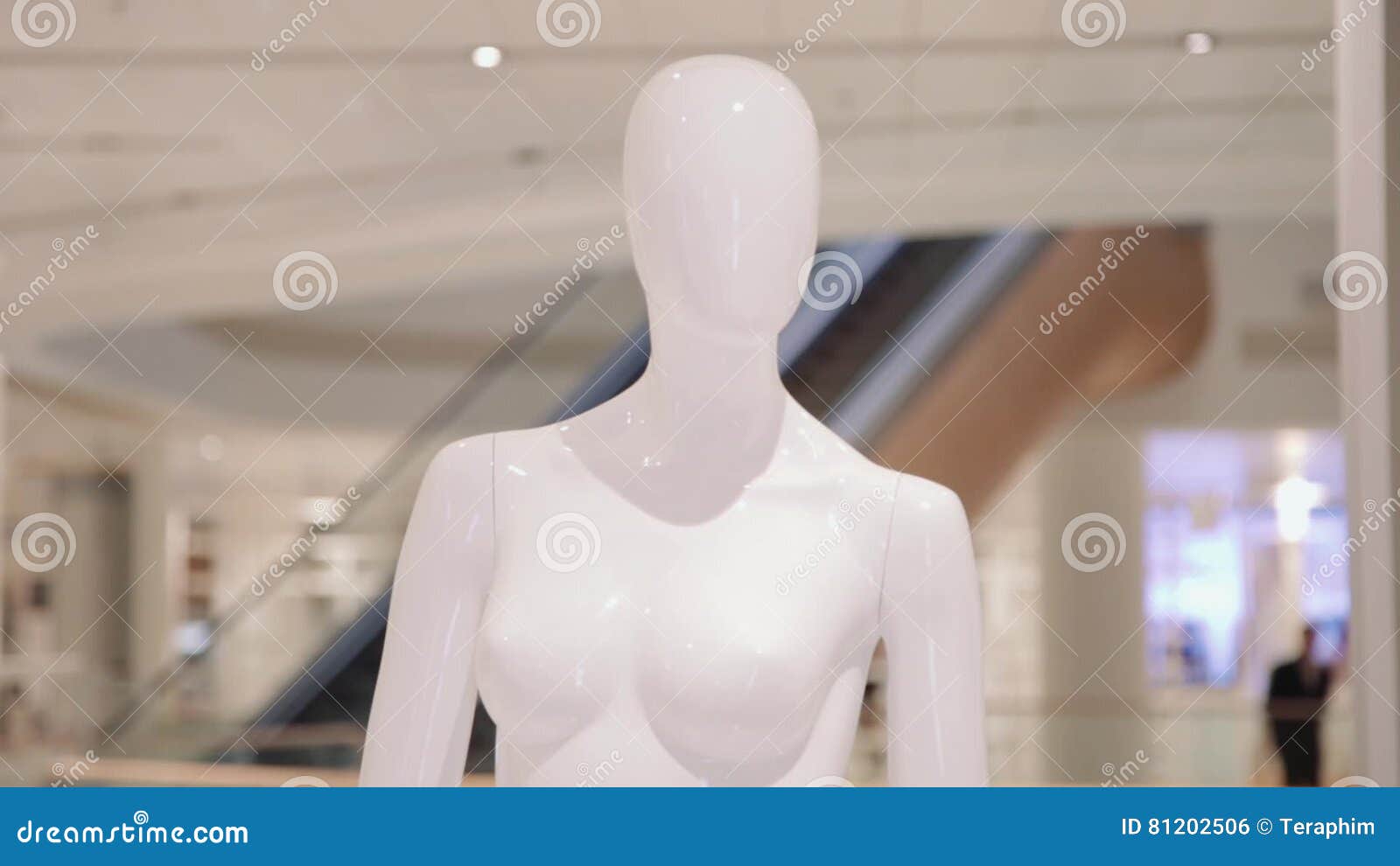 Mannequin or Dressmakers Dummy on with Shopping Mall on Background