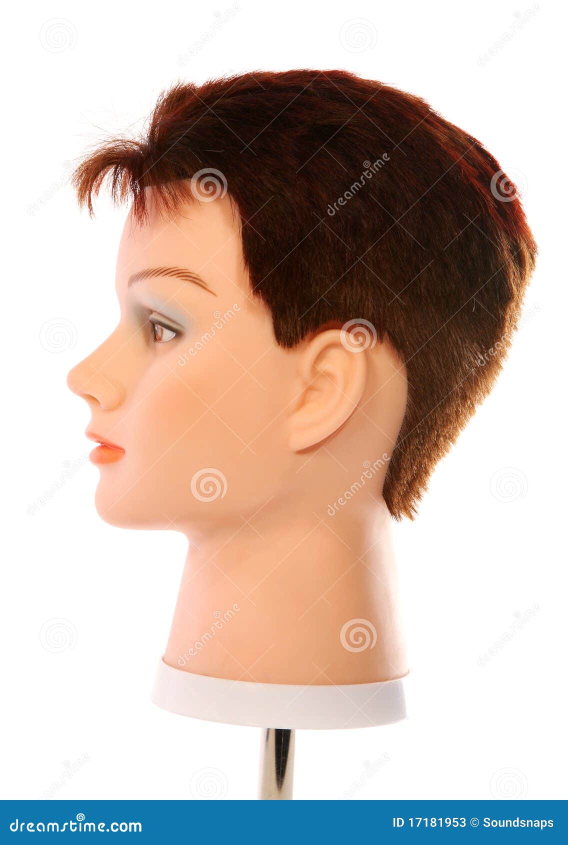 Mannequin Dummy Head Side stock image. Image of head 17181953