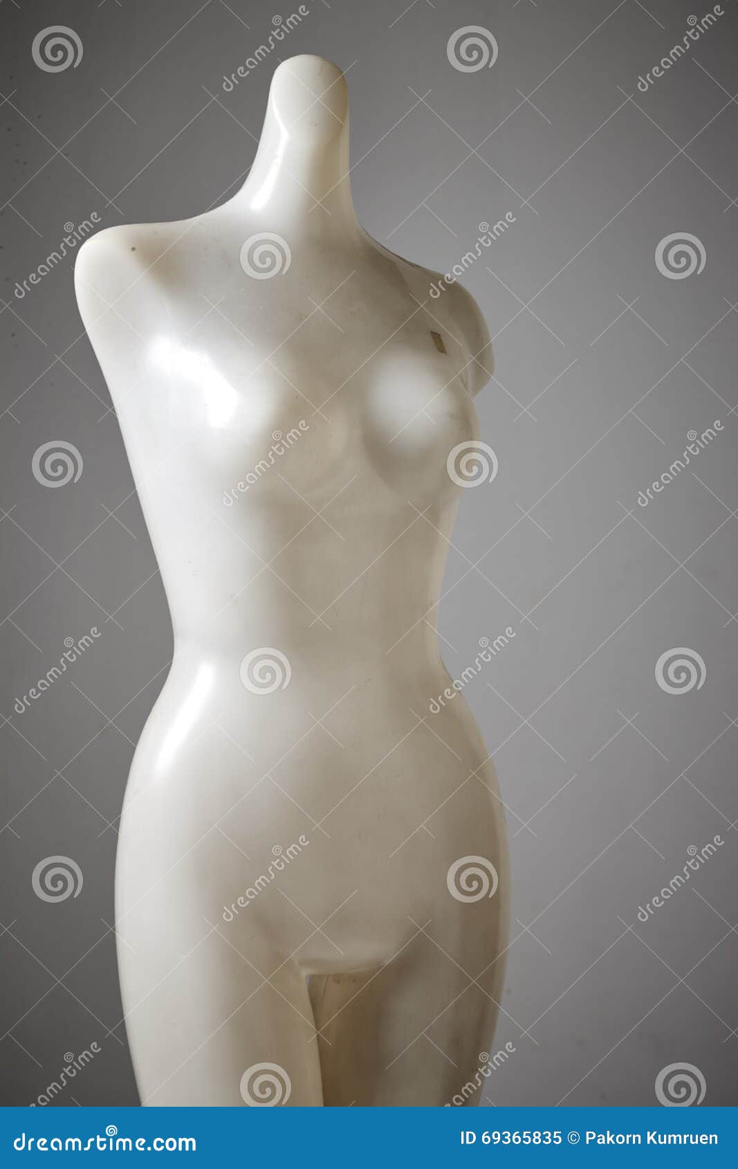 Empty human manikin head stock image. Image of naked - 90208959