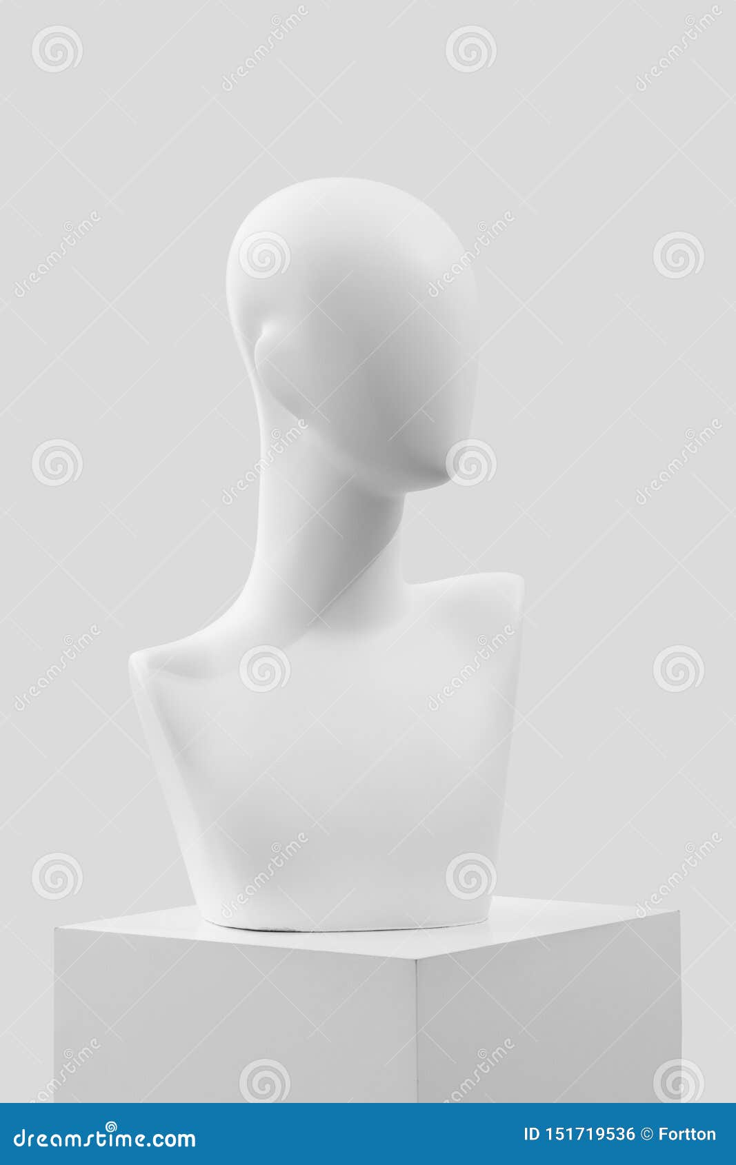mannequin on a light background