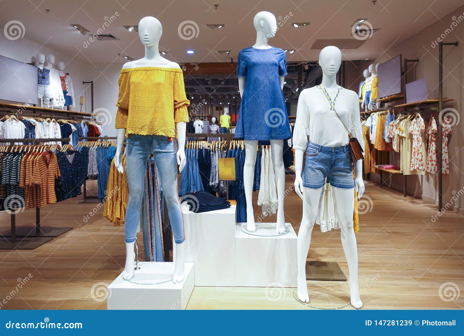 Mannequins in Lady Fashion Retail Shop Stock Image - Image of boutiques ...