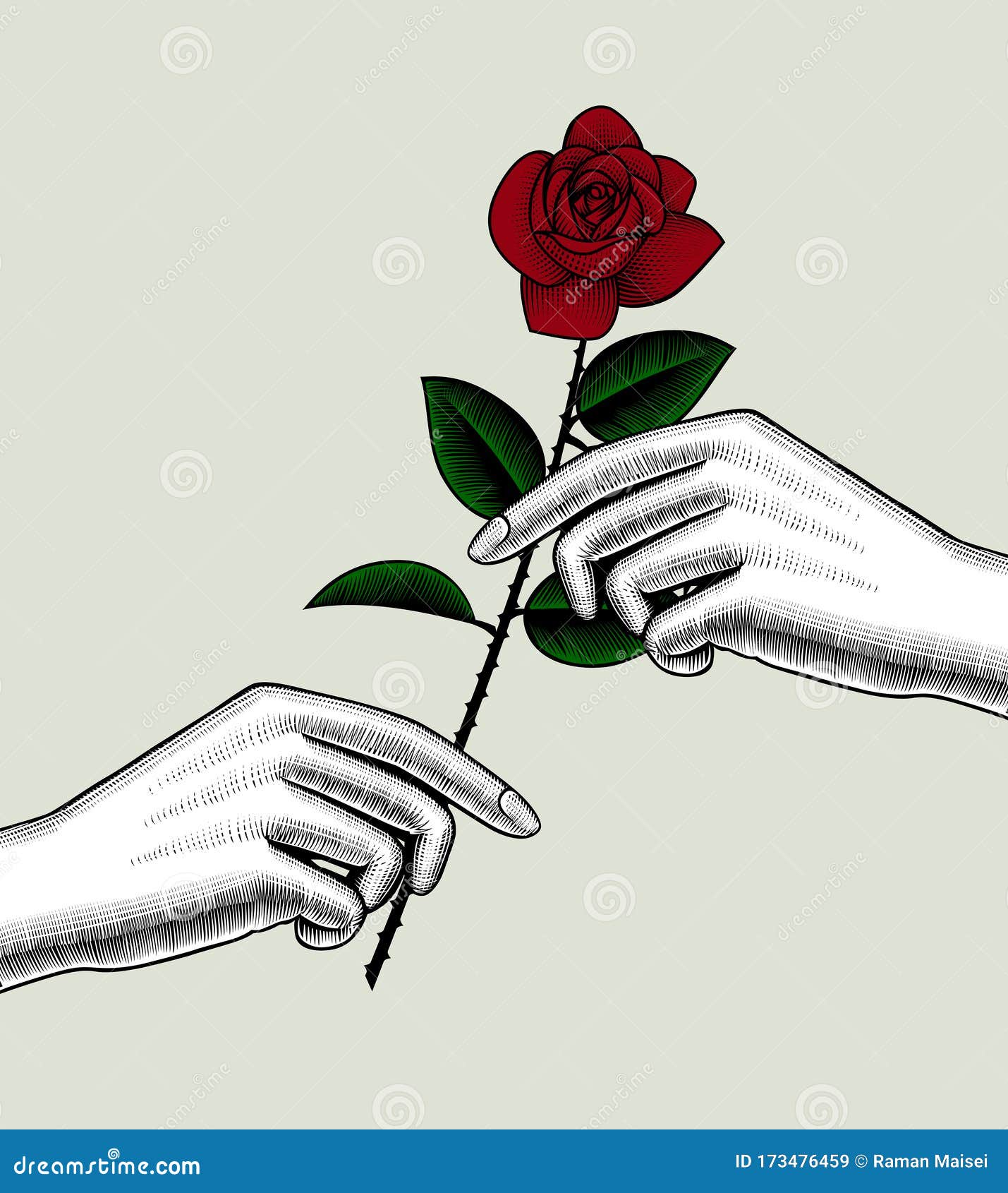 Mano con rosa rojo ilustración vector. Ilustración cubo 173476459