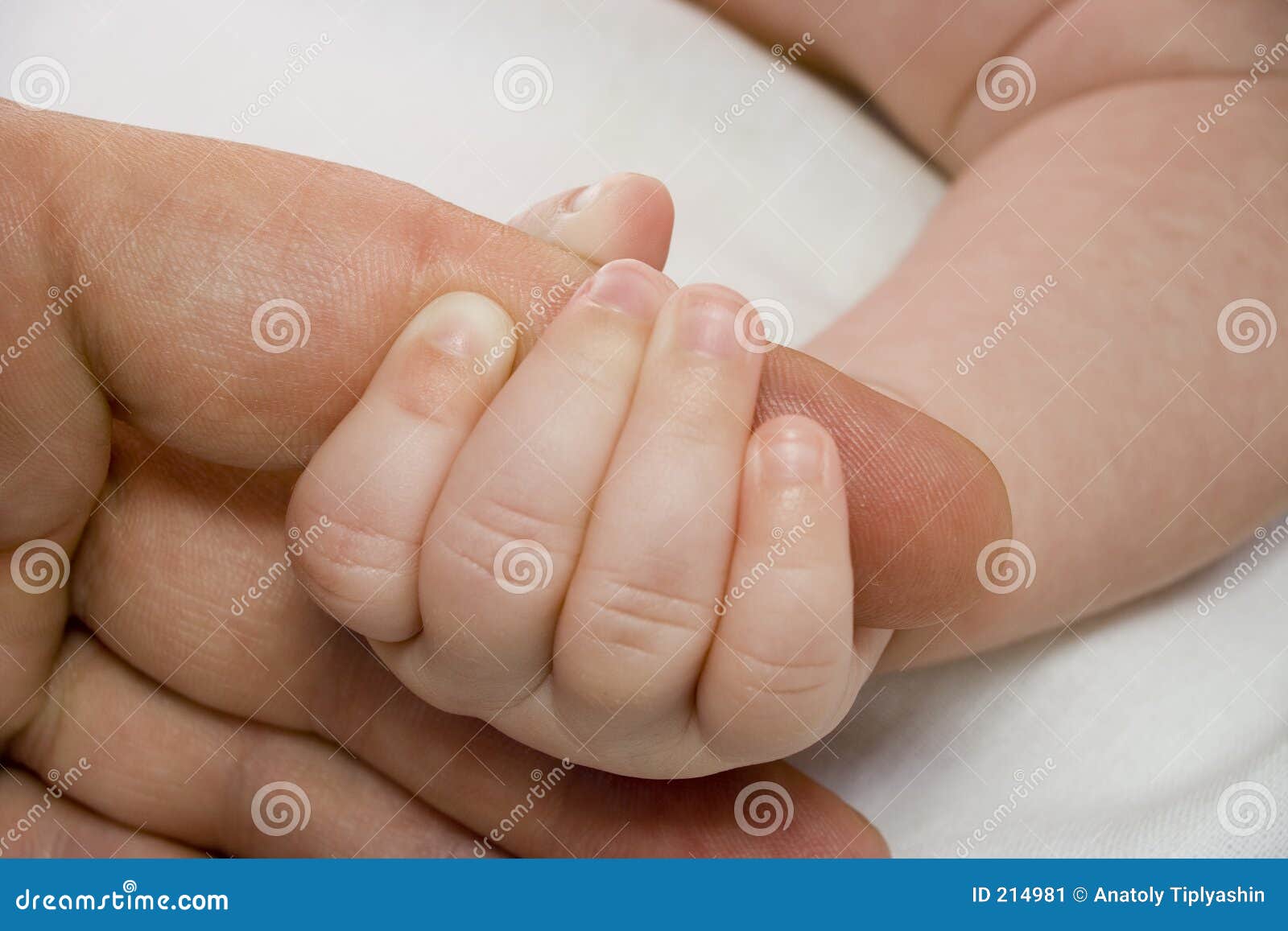 Mano Del Bebe Y Brazo Del Padre Imagen De Archivo Imagen De Hombre Mama