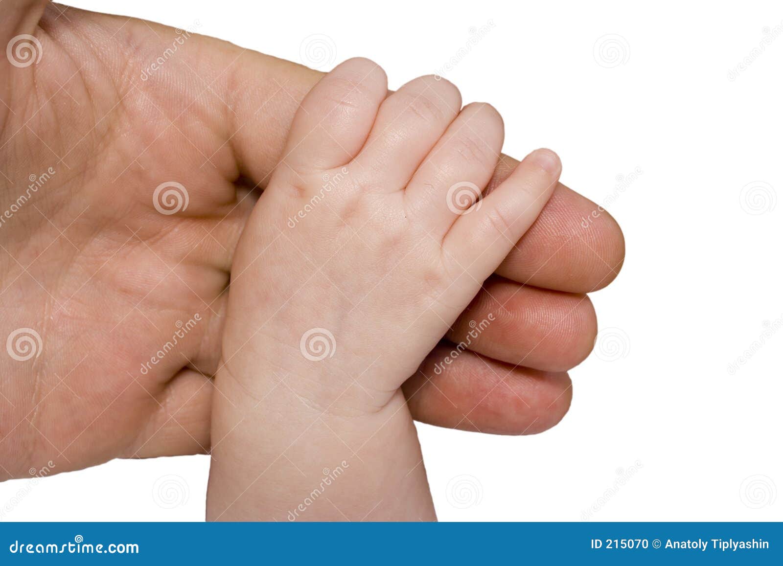 Mano Del Bebe Y Brazo Del Padre Foto De Archivo Imagen De Familia Blanco Mano Del Bebe Y Brazo Del Padre Foto De Archivo Imagen De Familia Blanco