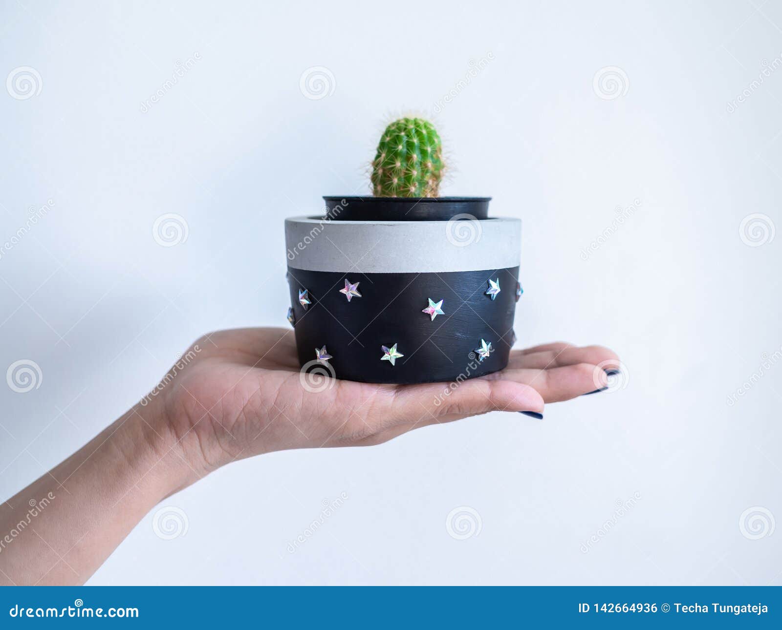 Novedad Plantador en forma de cemento Verde Cactus