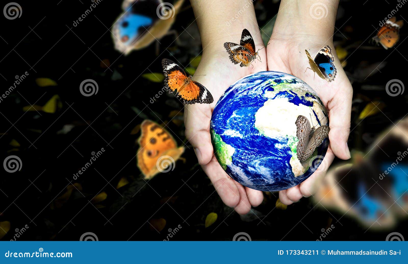 Manos De Mujeres Sujetando El Mundo O El Mundo Con Mariposa En El Día De La  Tierra Conservación Del Medio Ambiente Y Concepto De Imagen de archivo -  Imagen de recicle, desarrollo: