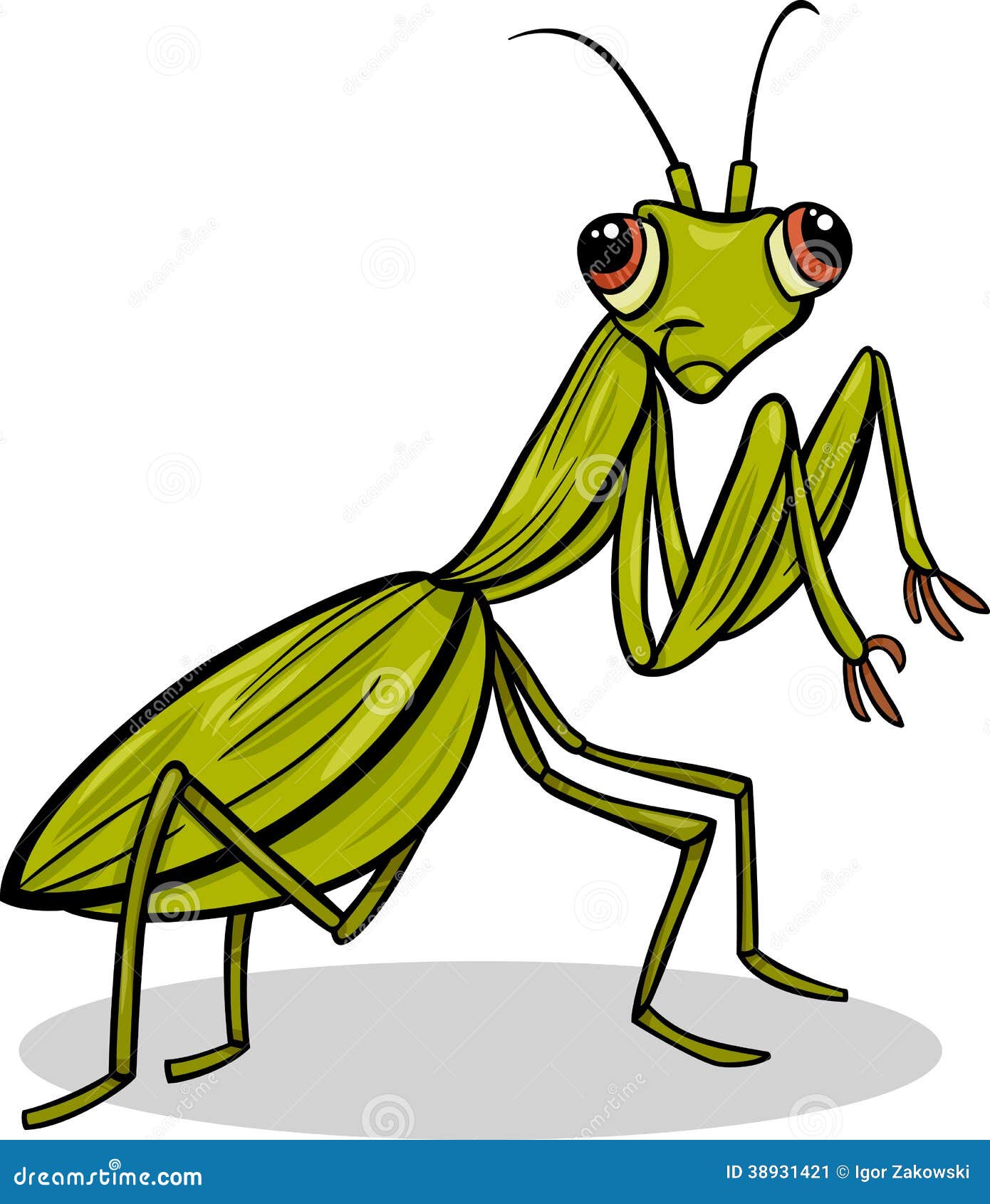 Mantis Insect Cartoon Illustration Stock Vector - Illustration of smile, mantis: 38931421 Mantis Insect Cartoon Illustration Stock Vector - Illustration of smile, mantis: 38931421