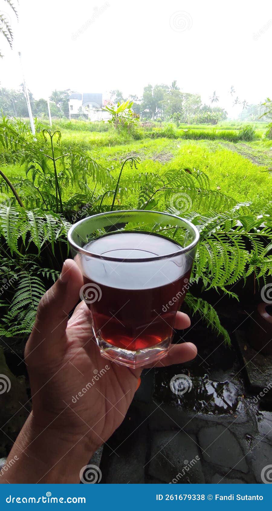 Manual brew coffee stock photo. Image of view, manual 261679338