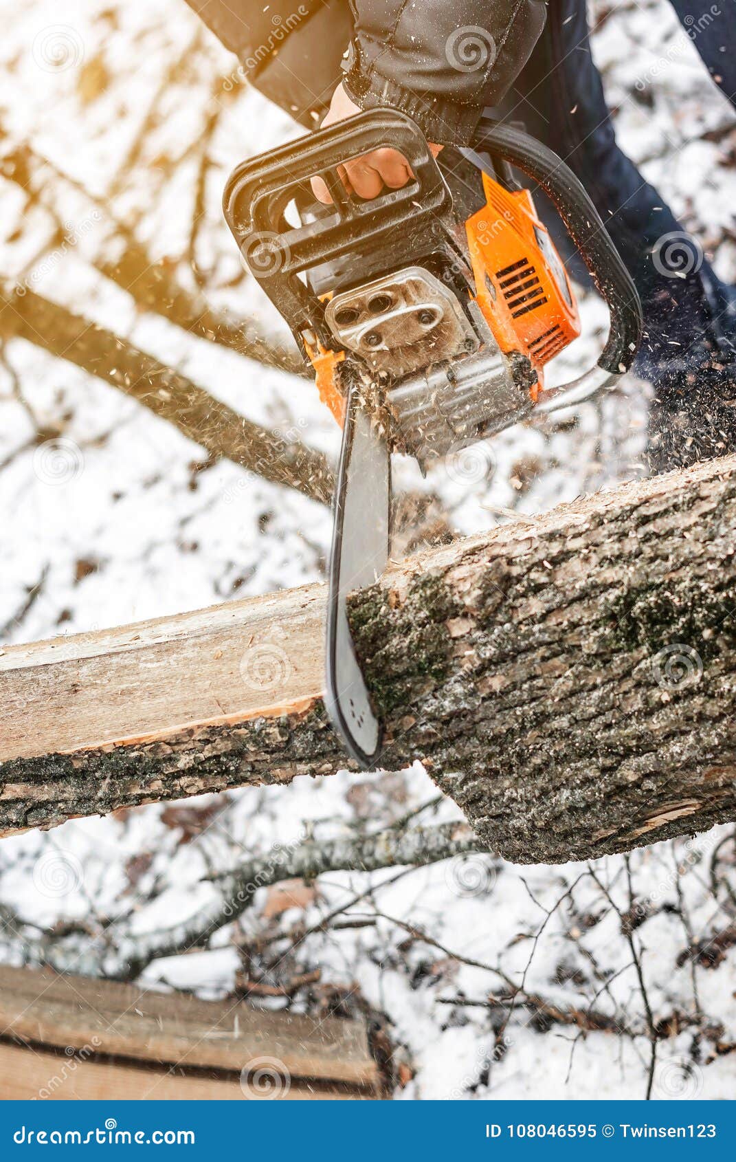 Manual Chainsaw. Man Hands, Saws a Tree in the Woods in Winter a Stock