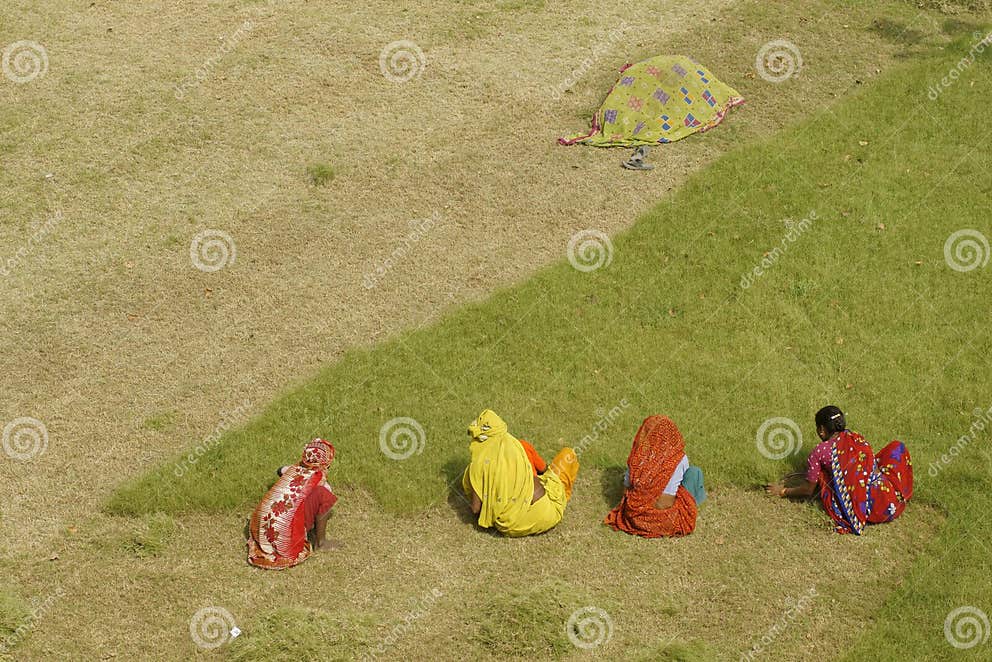 Manual Labor editorial stock image. Image of sari, female 10847799