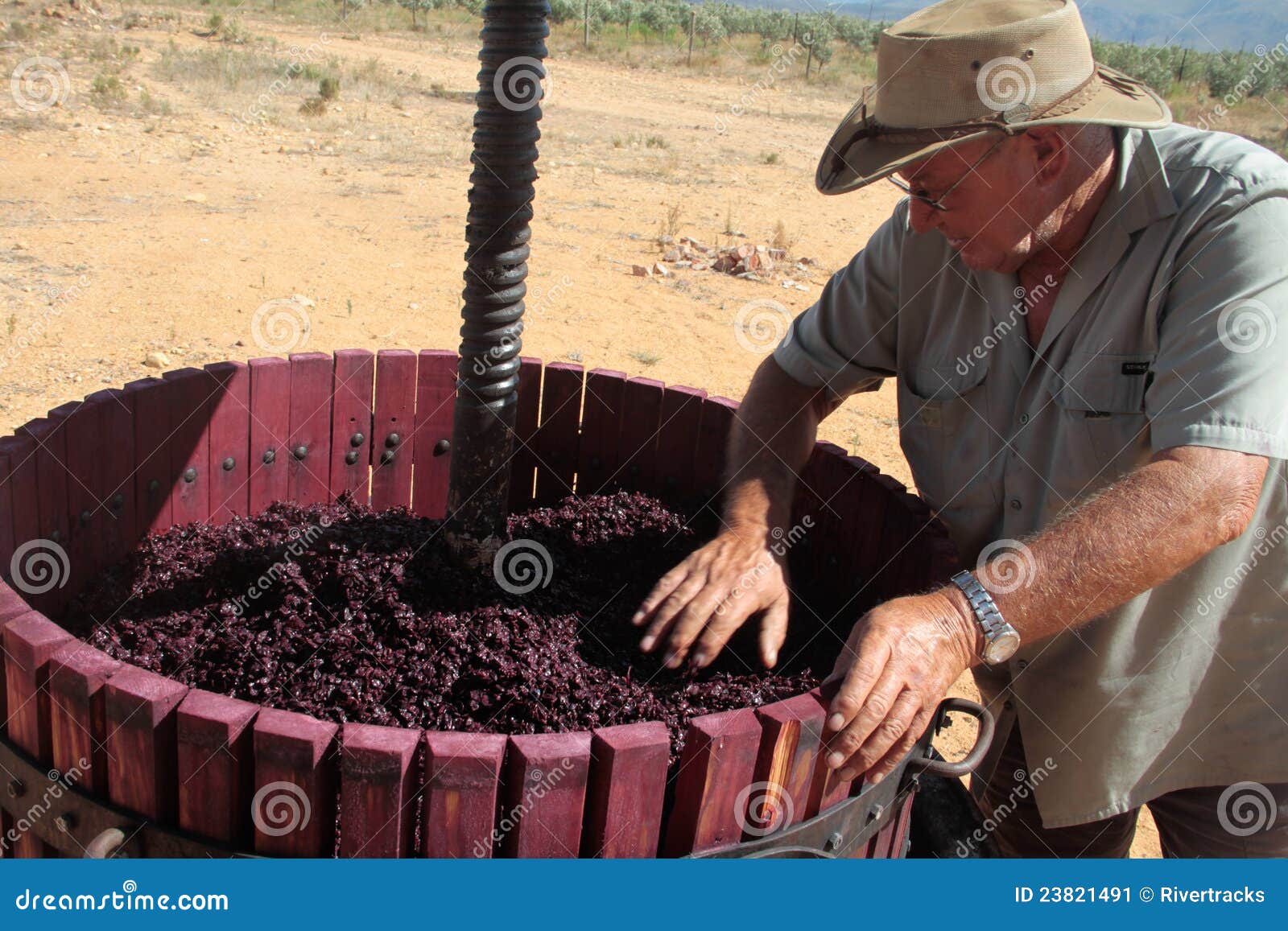 Manual organic wine making editorial photo. Image of manual 23821491