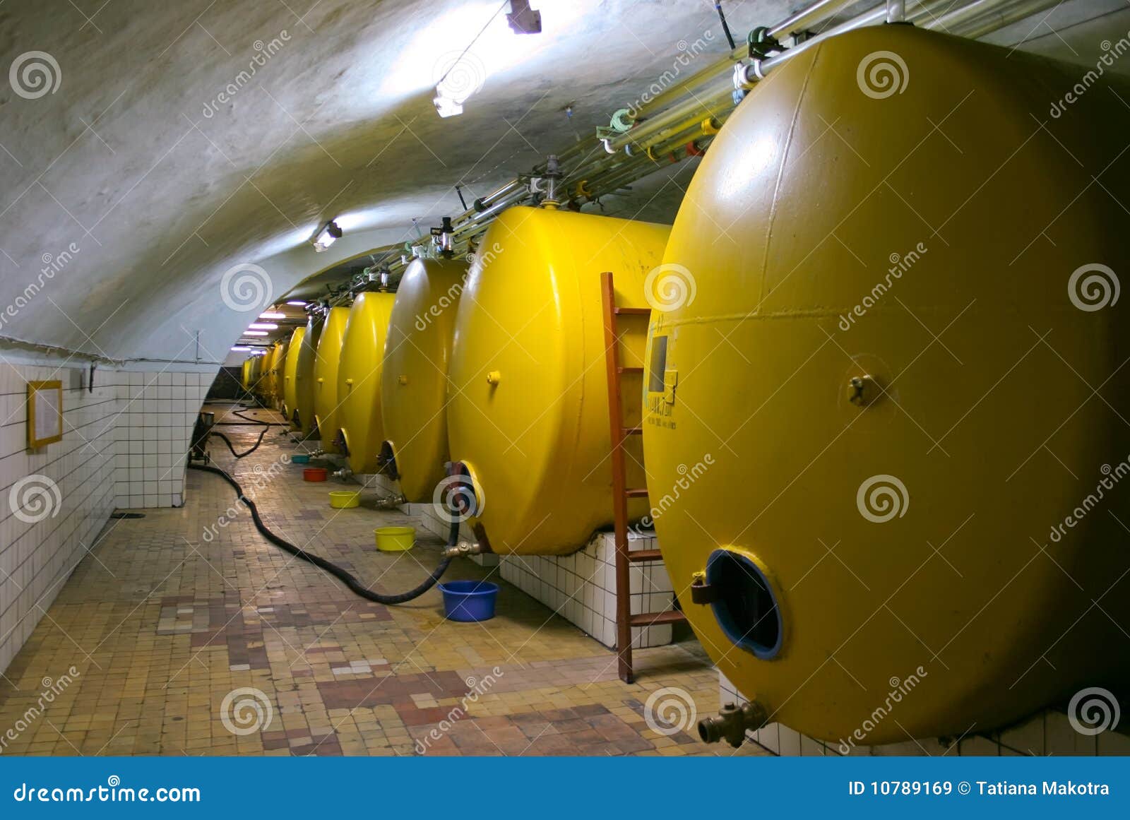 Manufacture of wine stock image. Image of distillery 10789169