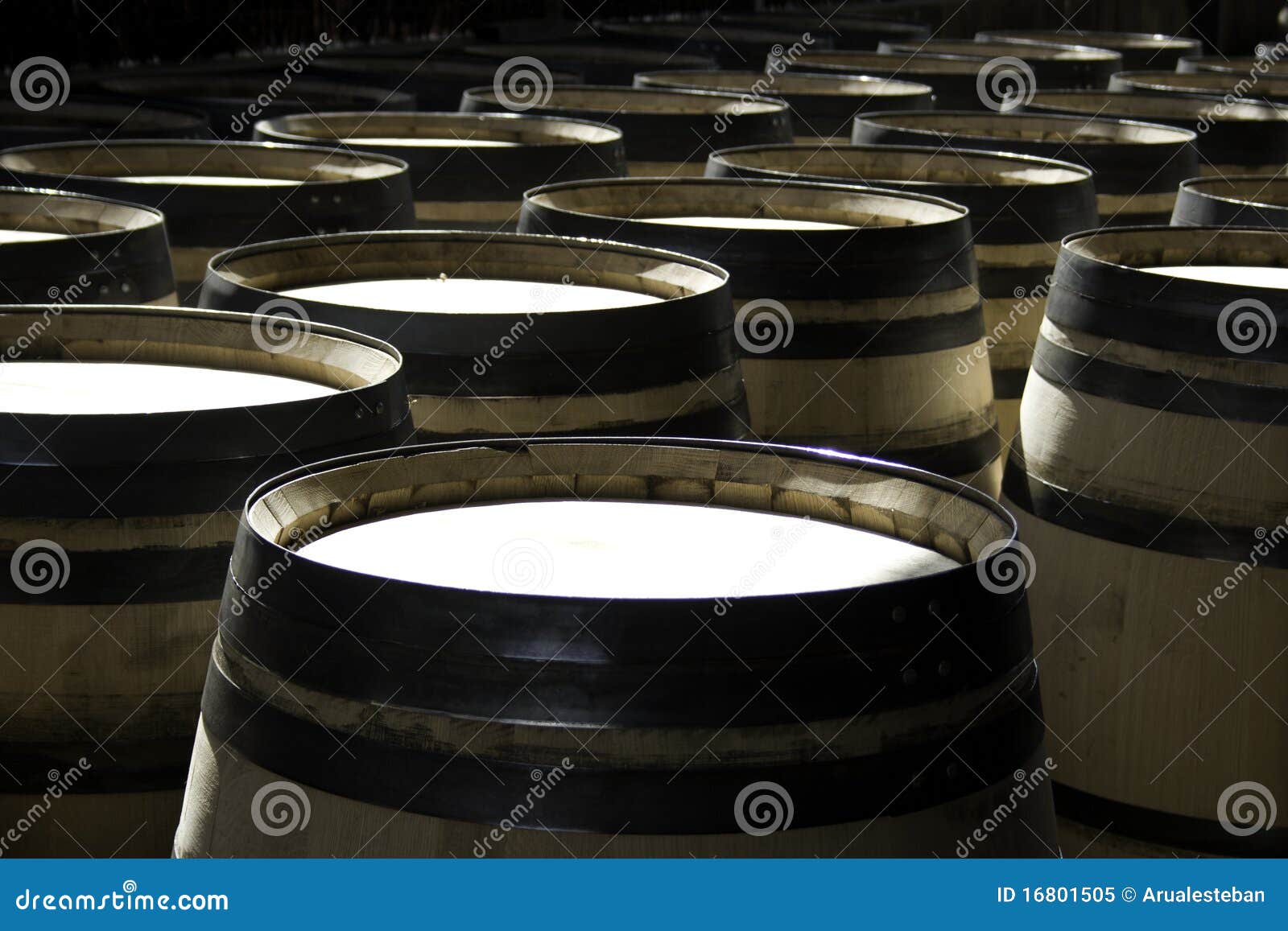 Manufacturing Process of Barrels for Wine Stock Image Image of nature