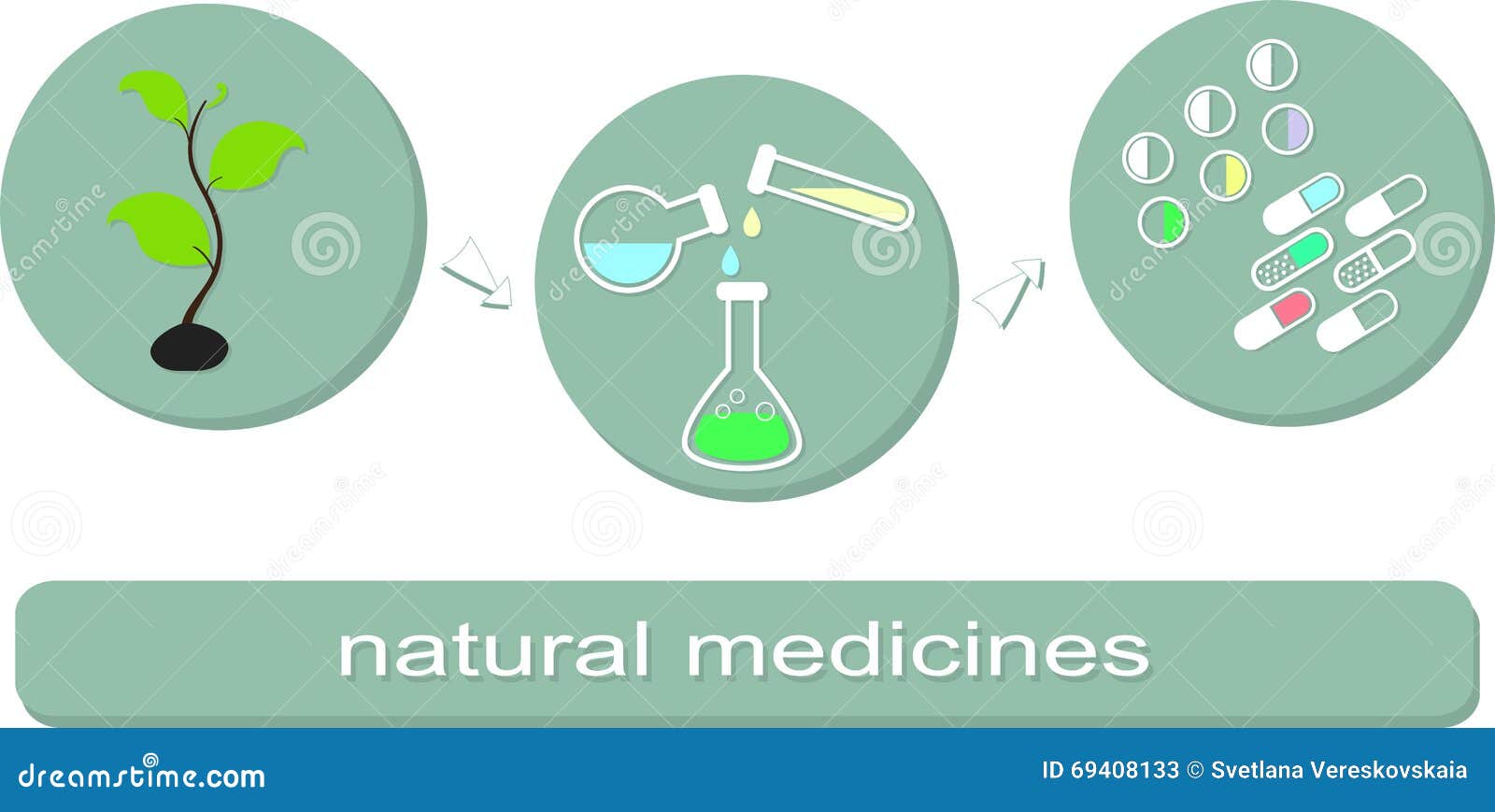 The Manufacturing Process of Natural Medicines. Stock Vector