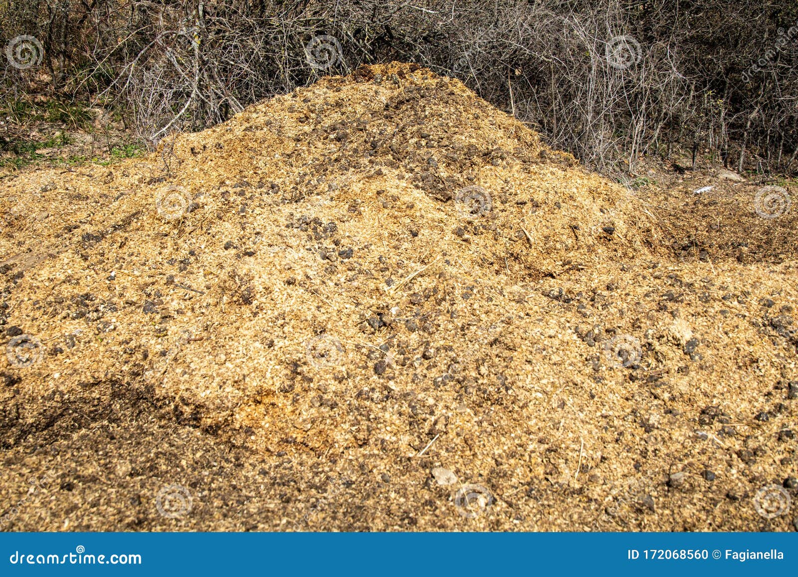 download bioforge fertilizer download bioforge fertilizer