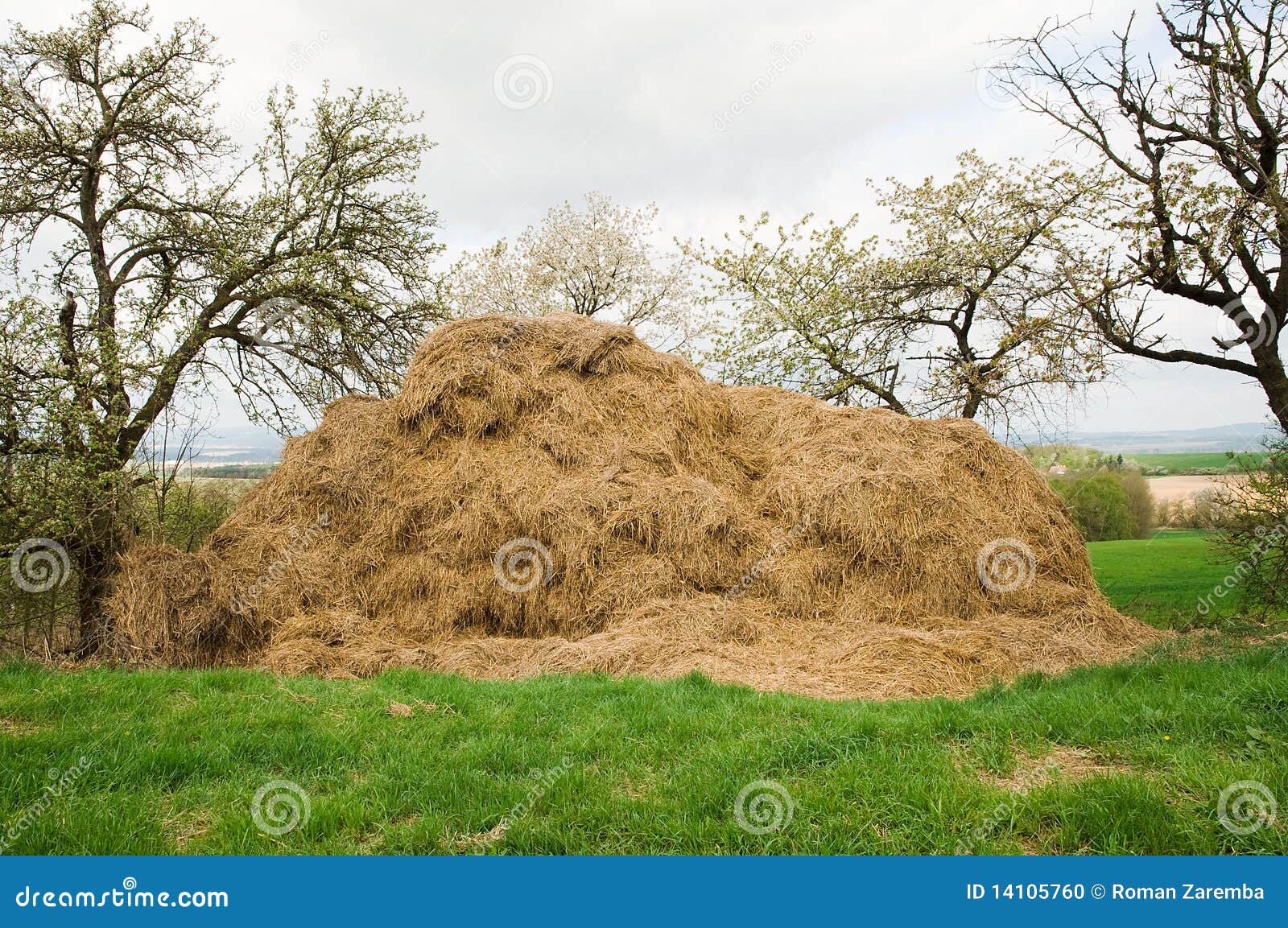 manure heap