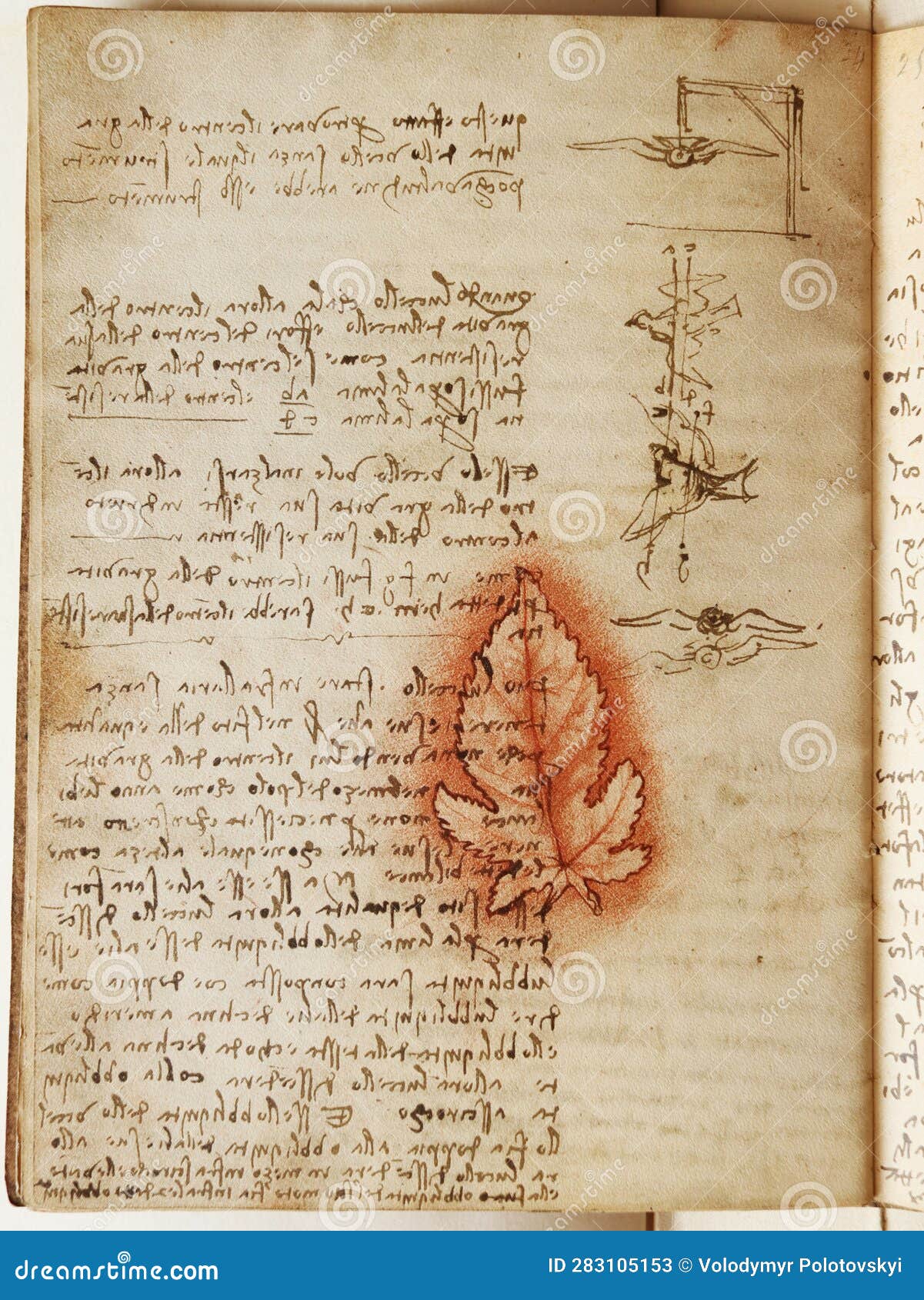 manuscript, drawings, red leaf by leonardo da vinci in the old book the codice sul volo, by e. rouveyre , 1893