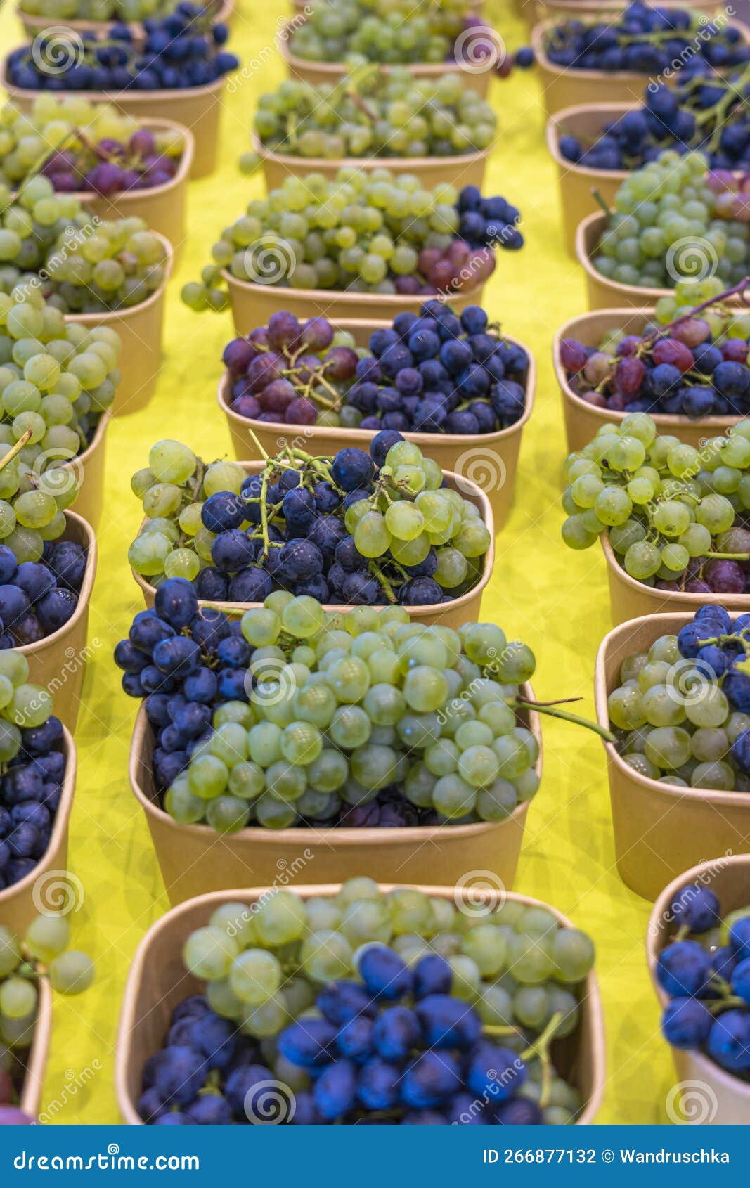 Many Baskets of Red and Green Grapes Stock Photo Image of market