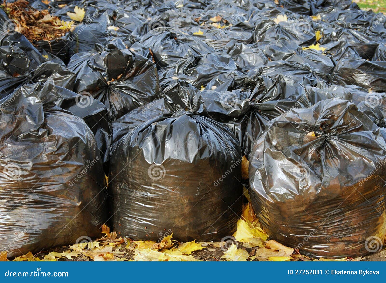 Many Black Garbage Bags in Autumn Park Stock Image Image of foliage