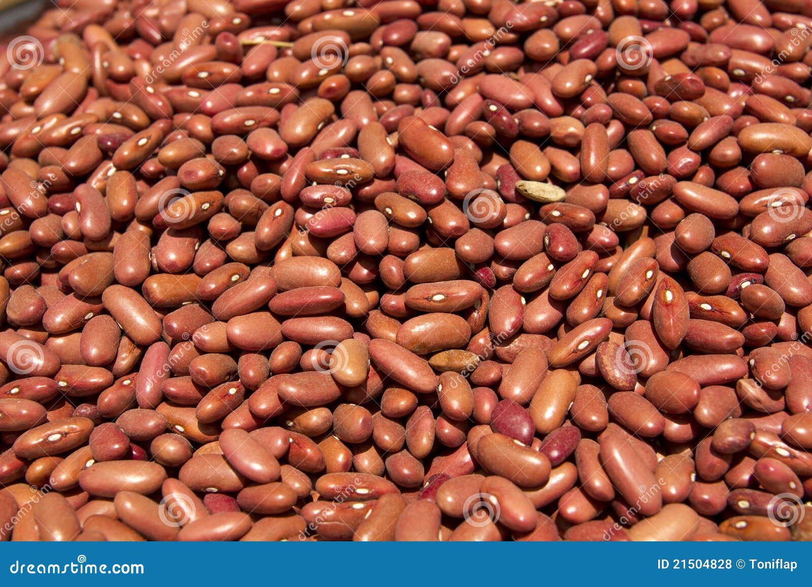 Many Black Kidney Beans Closeup Stock Photo Image of america, legumes
