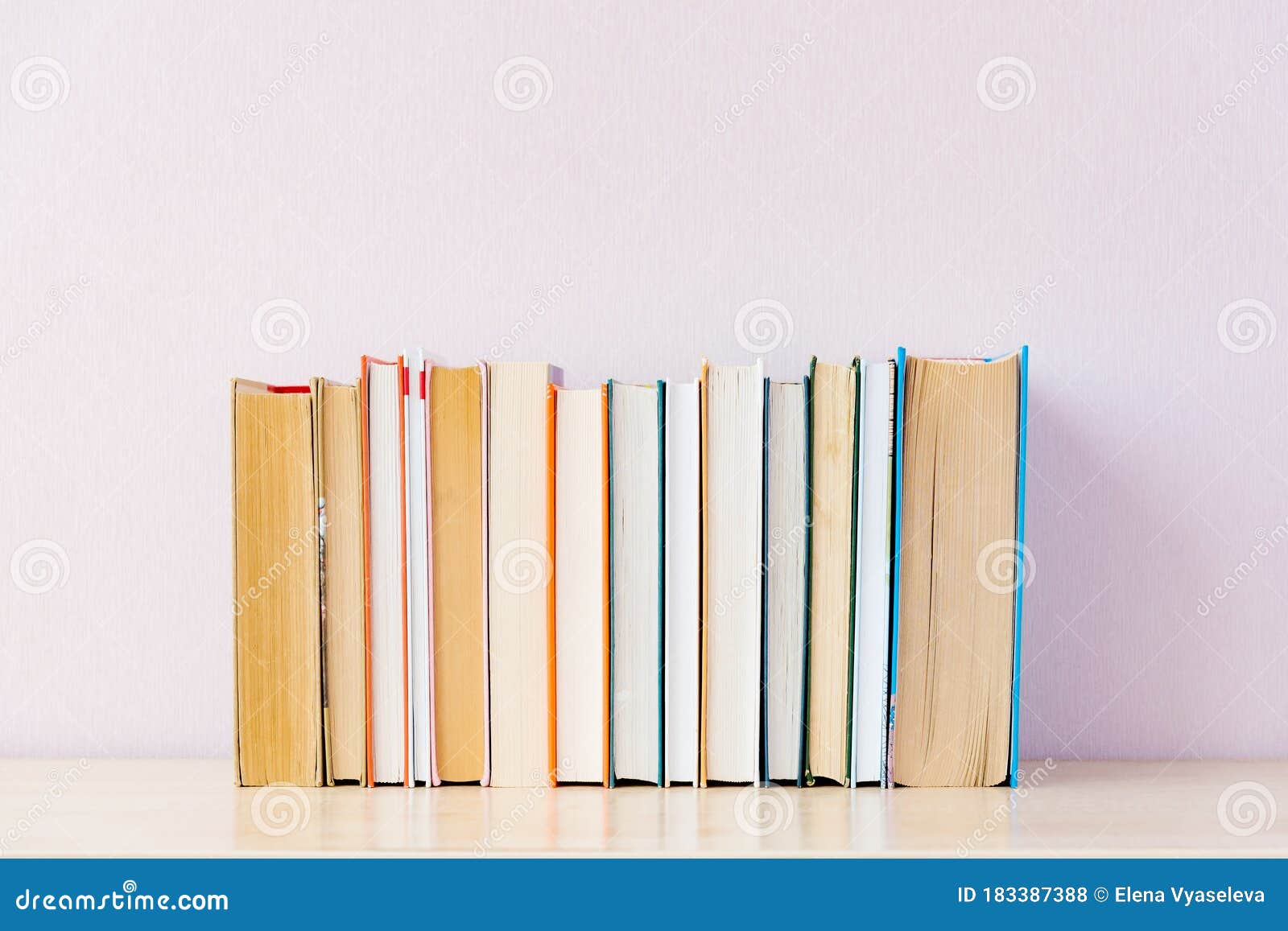 Many Books on Bookshelf on Simple Backdrop. Copy Space for Your Text