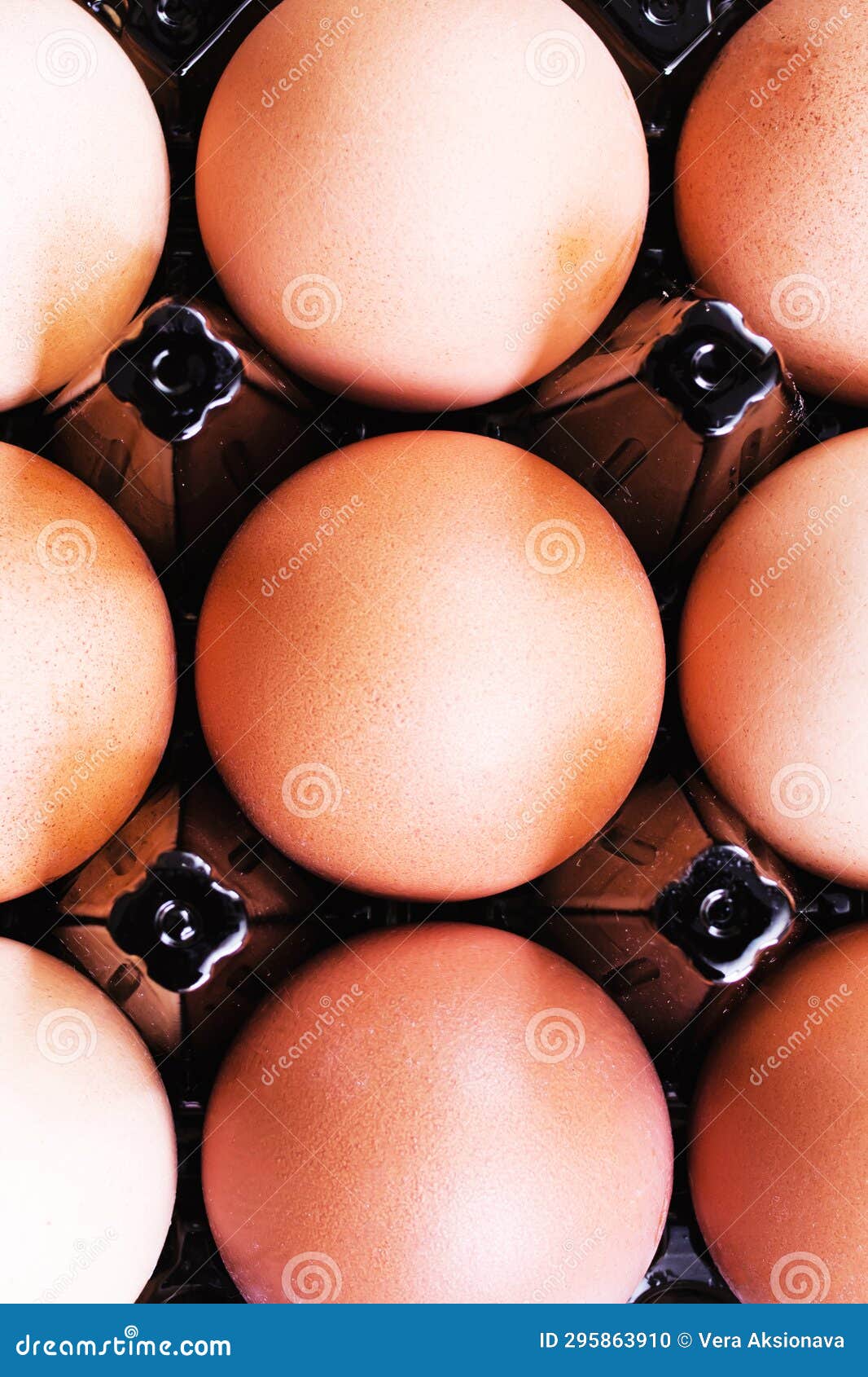 Many Eggs in a Box Top View Stock Photo Image of packing, farm 295863910