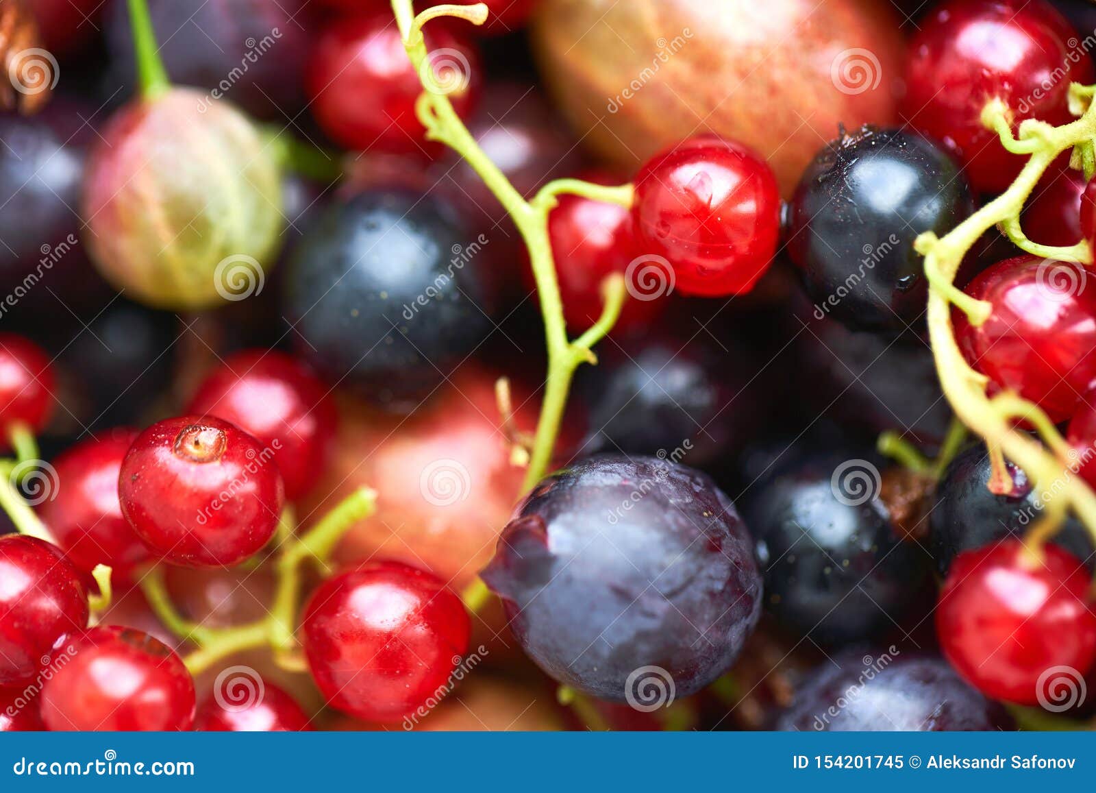 Many Different Bright Berries. Summer Harvest of Fresh Berries Stock