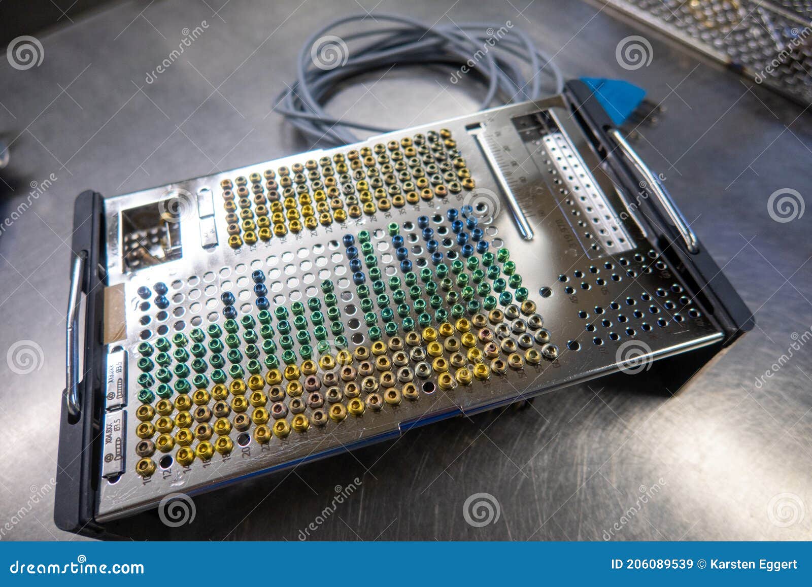 Many Different Types of Titanium Surgical Screws are Sorted into a Tray