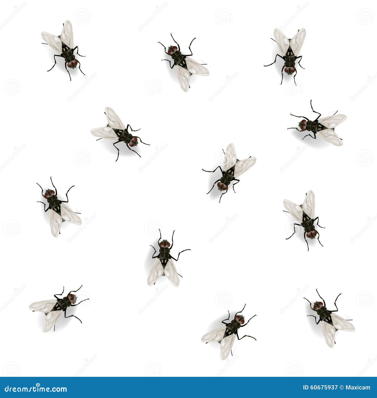 many flies wall vector illustration white background 60675937