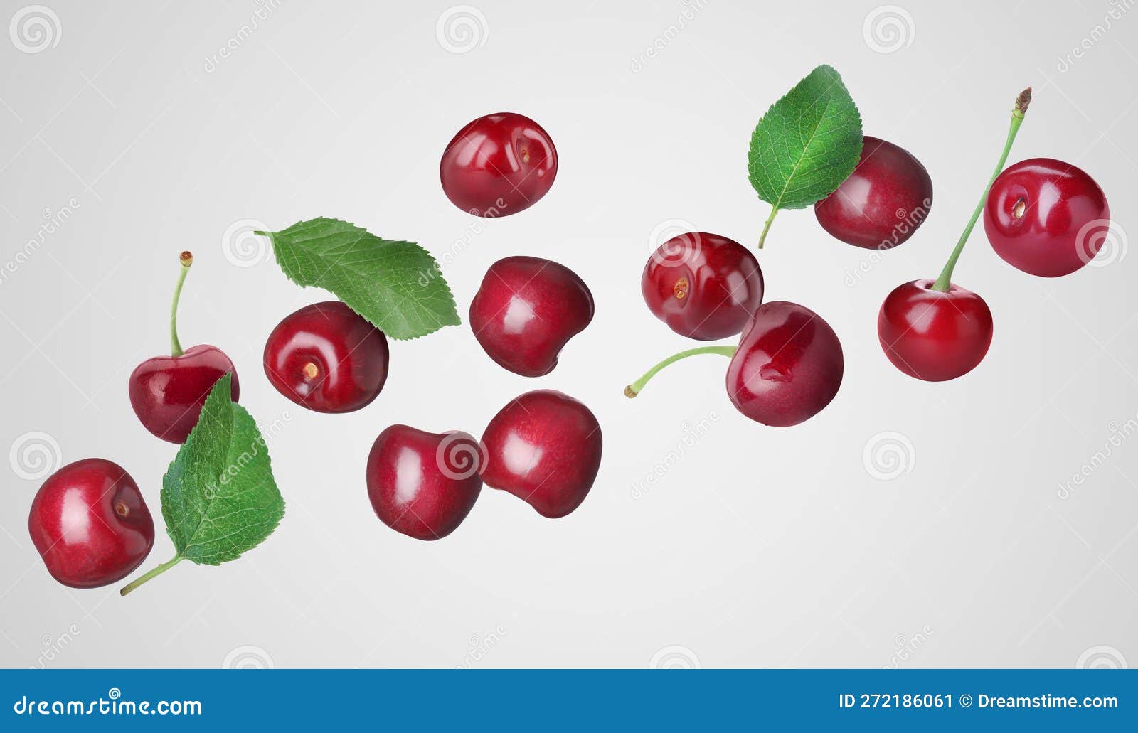 Many Fresh Cherries Falling on White Background Stock Image Image of collection, fall 272186061