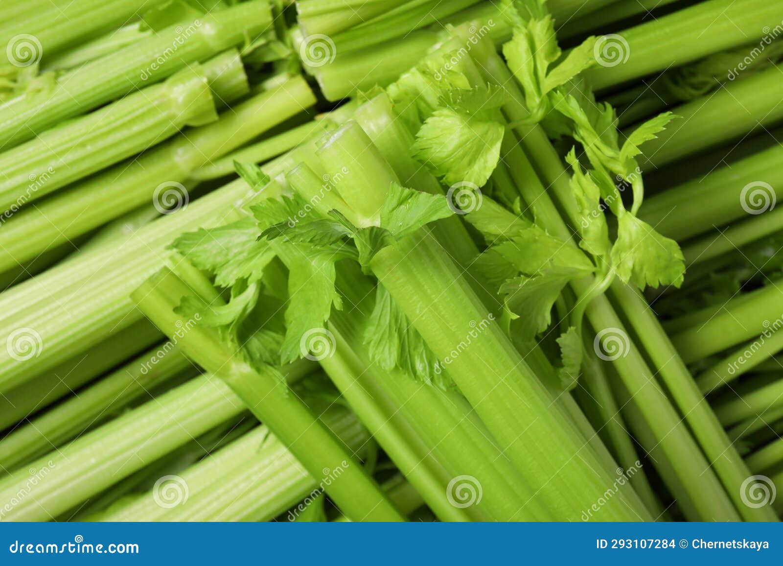 Many Fresh Green Celery Bunches As Background, Top View Stock Photo