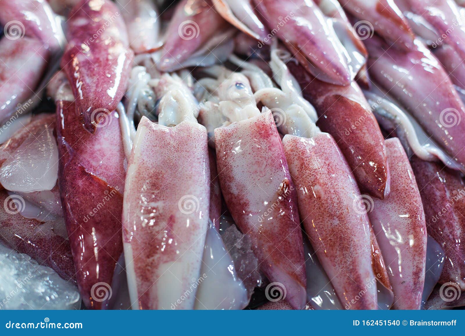 Many Fresh Raw Calamari Close Up, Heap of Red and White Calamary on Seafood Market, Squids with Ice Closeup, Squid Background Stock Photo - Image of cook: 162451540