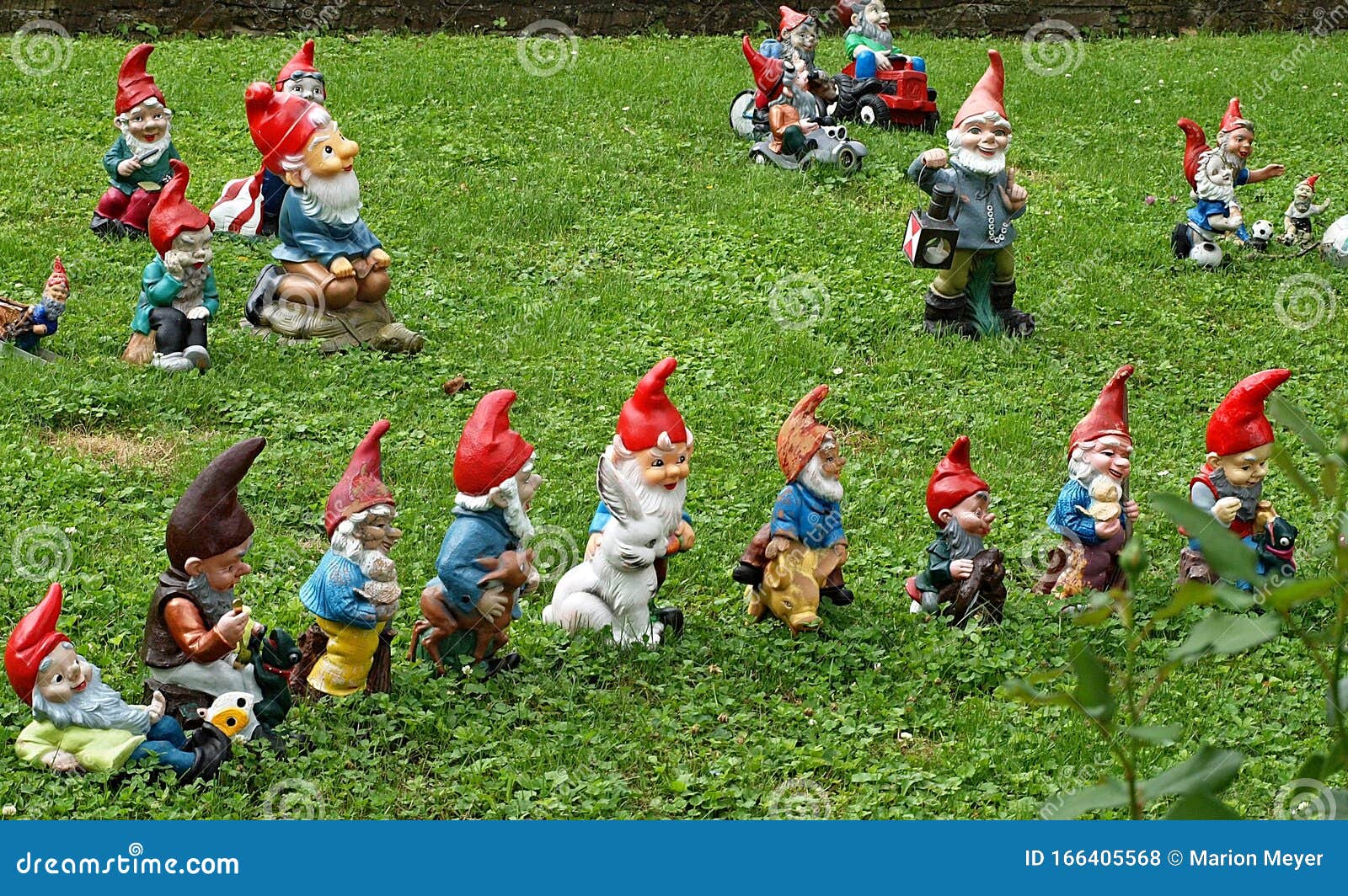 Many Garden Gnomes On Grass Stock Photo Image Of Happiness