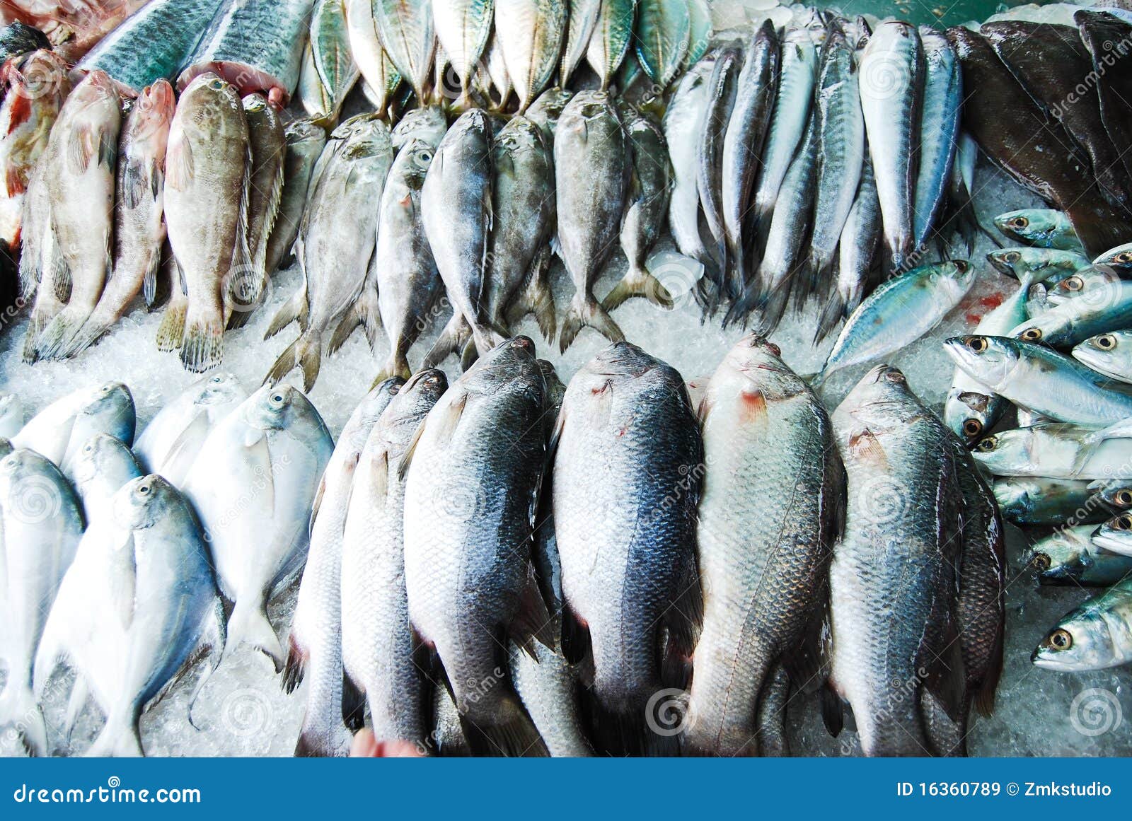 Many Kind Of Fish In Fresh Market Royalty Free Stock Images Image