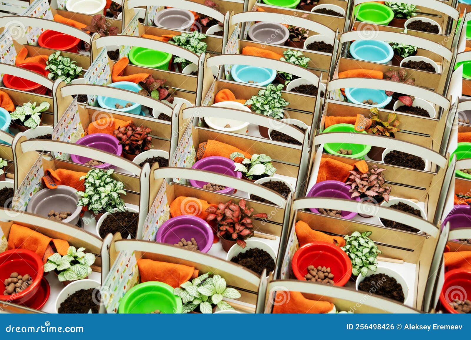 Many Kits for Growing Flowers Baskets, Pots with Earth and Brochures