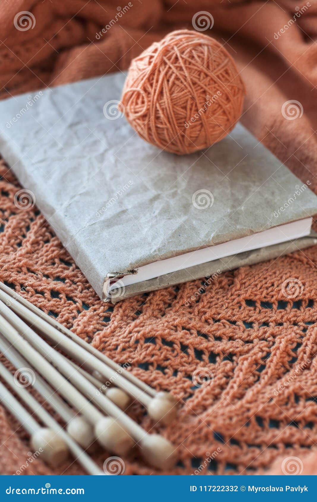 Many Light Knitting Needles, a Craft Notebook and a Thread of Cl Stock