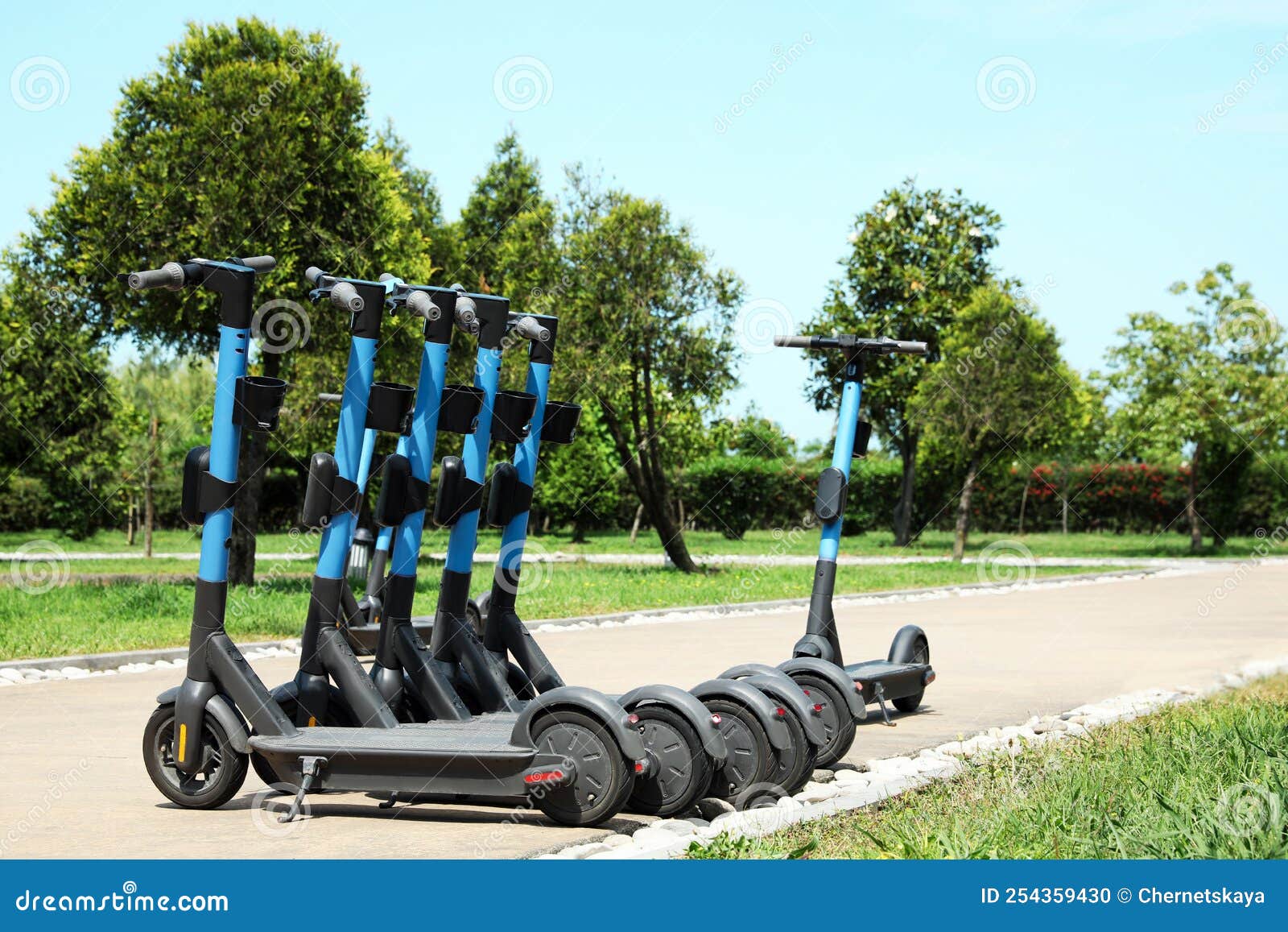 Many Modern Electric Scooters. Rental Service Stock Photo Image of